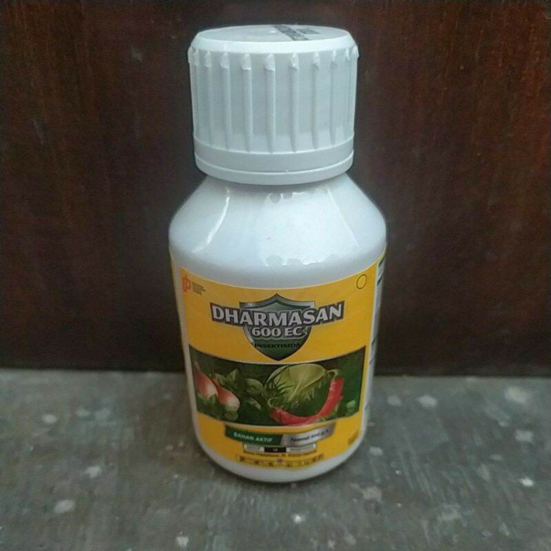 Dharmasan Darmasan Ml Fentoat Obat Hama Lalat Buah Lazada Indonesia