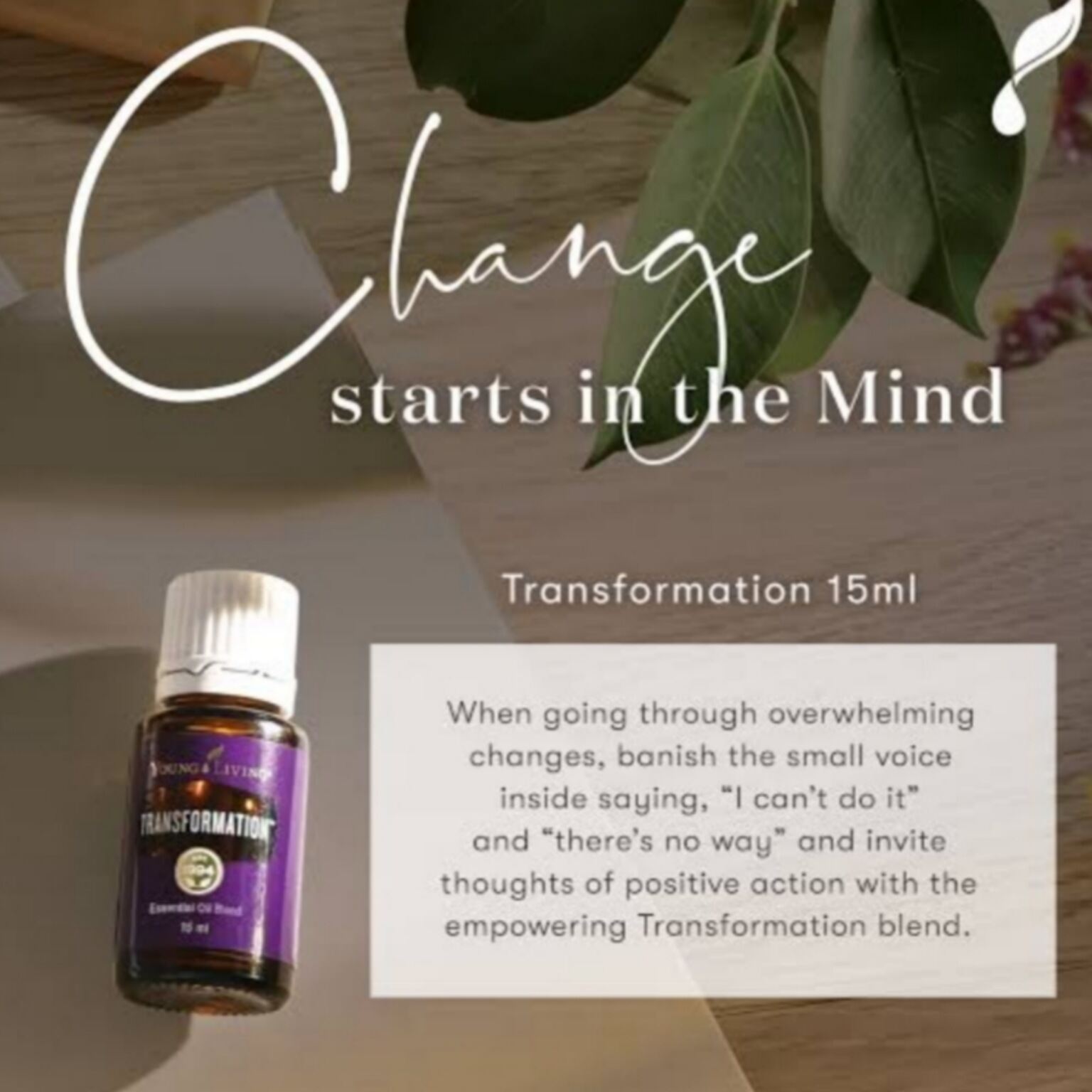 NEW PREMIUM! Transformation Young Living Essential Oil 15ml Minyak