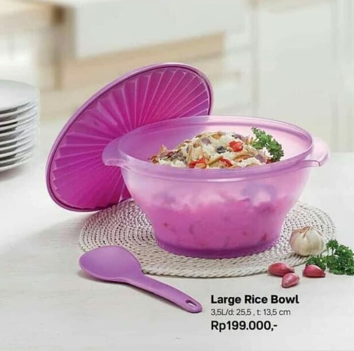 large rice bowl tupperware / wadah nasi tupperware | Lazada Indonesia