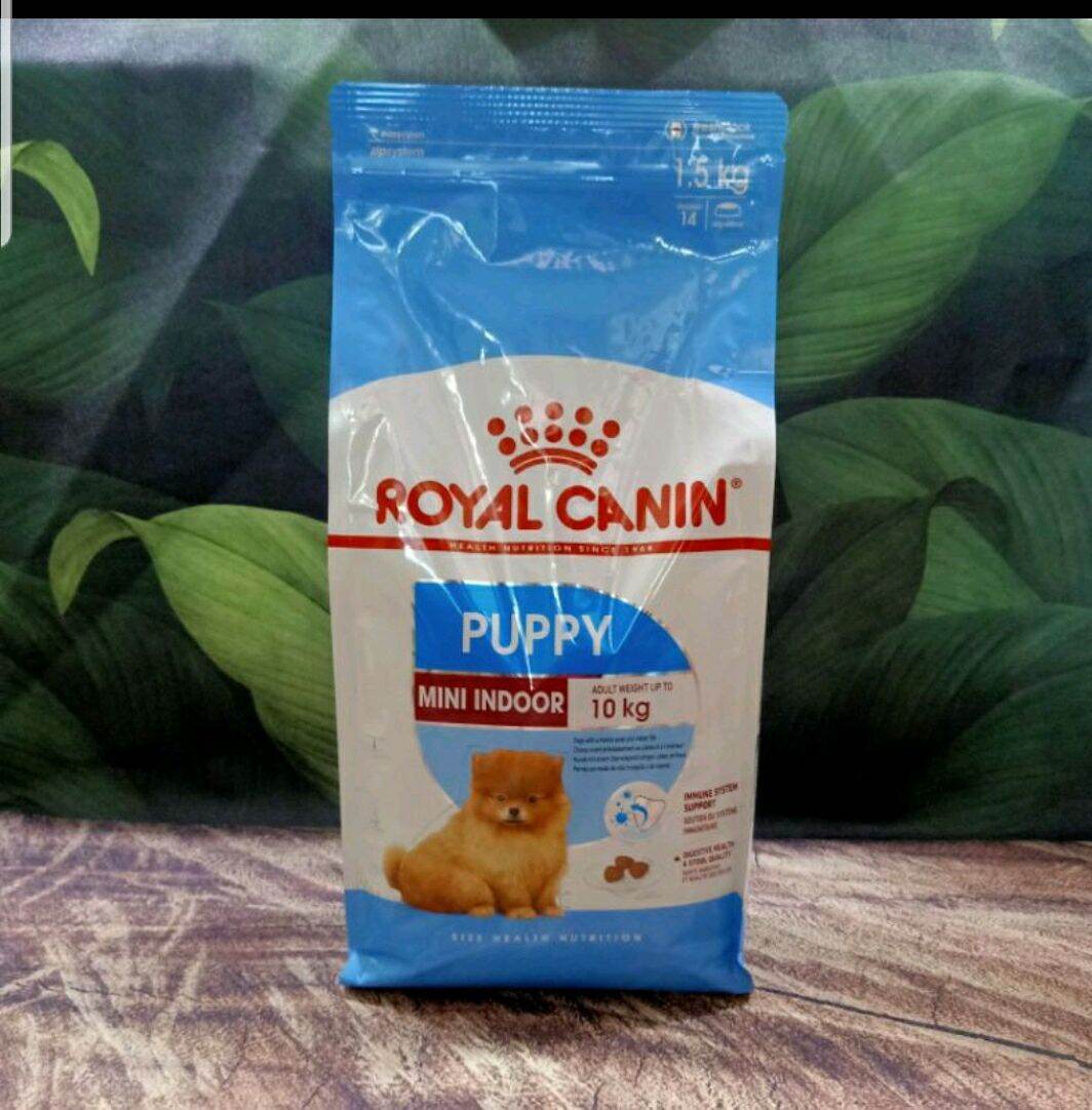 royal canin puppy mini