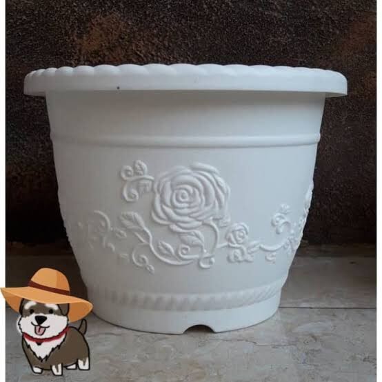 Орыс аруларымен топтық секс 28 аптада жүктілік кезіндегі жыныстық позициялар