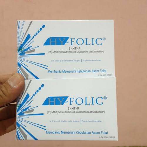 Hy Folic / Hyfolic box isi 30 kapsul
