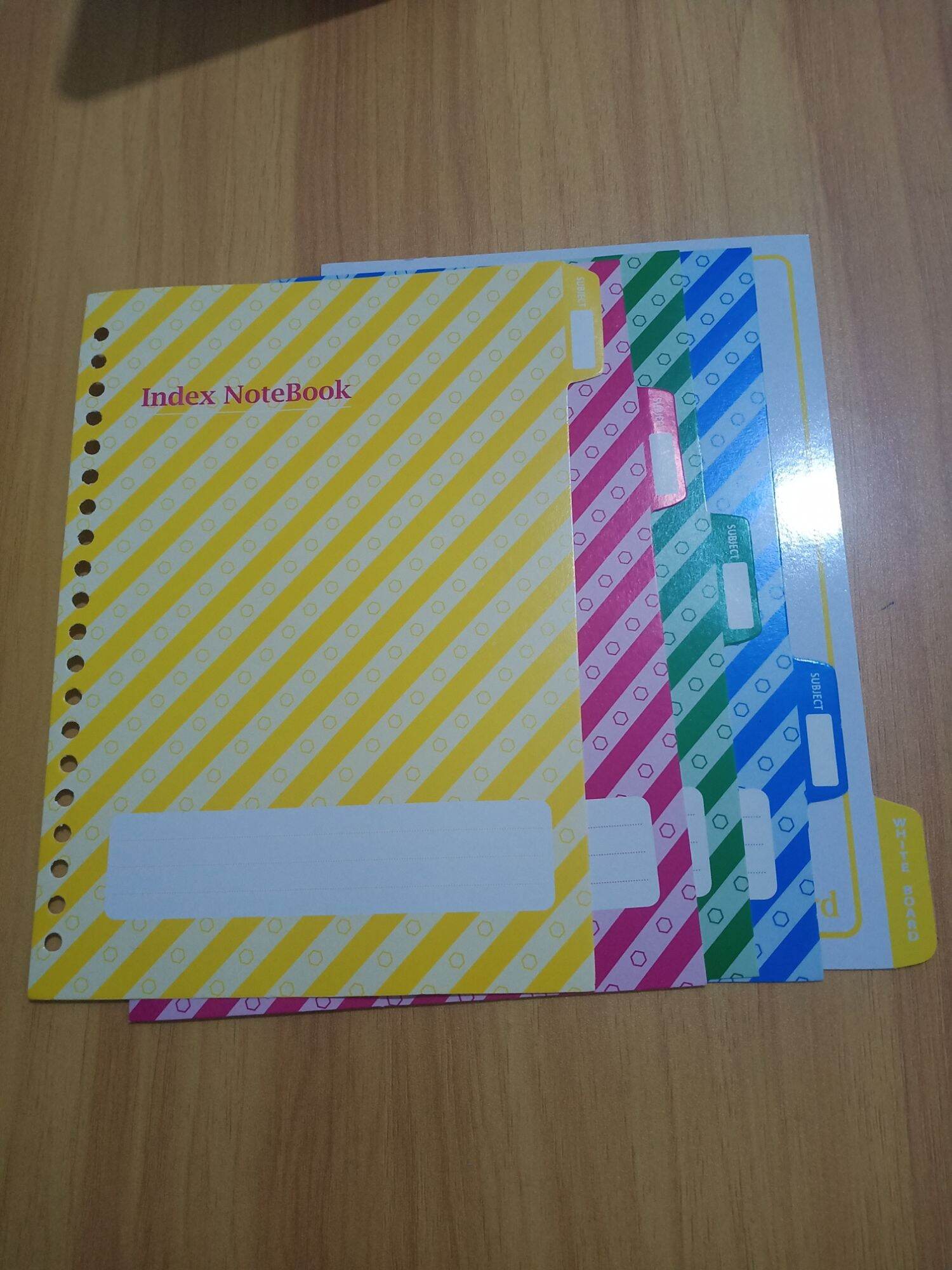pembatas binder A5 20 lobang 1 set 5 warna