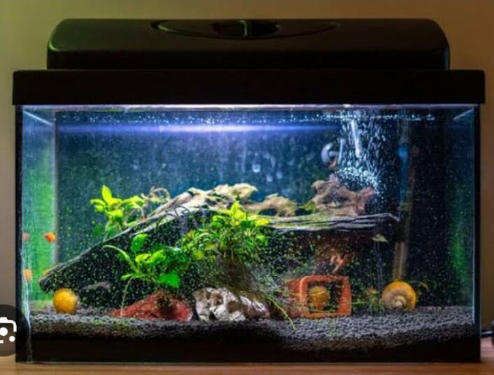 Pompa aquarium internal filter Luckiness 1200f