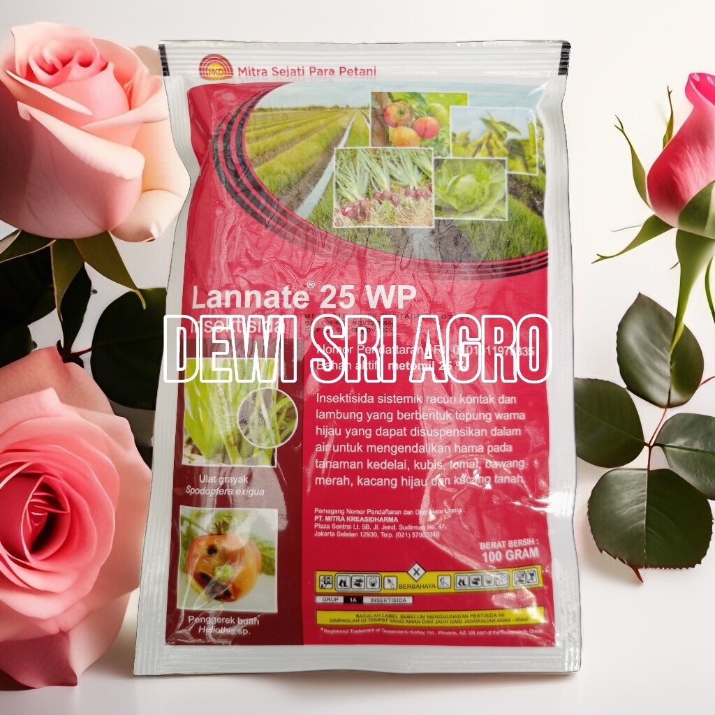 Kichkina jinsiy olatni kimnidir bokiralikdan mahrum qilishi mumkin.