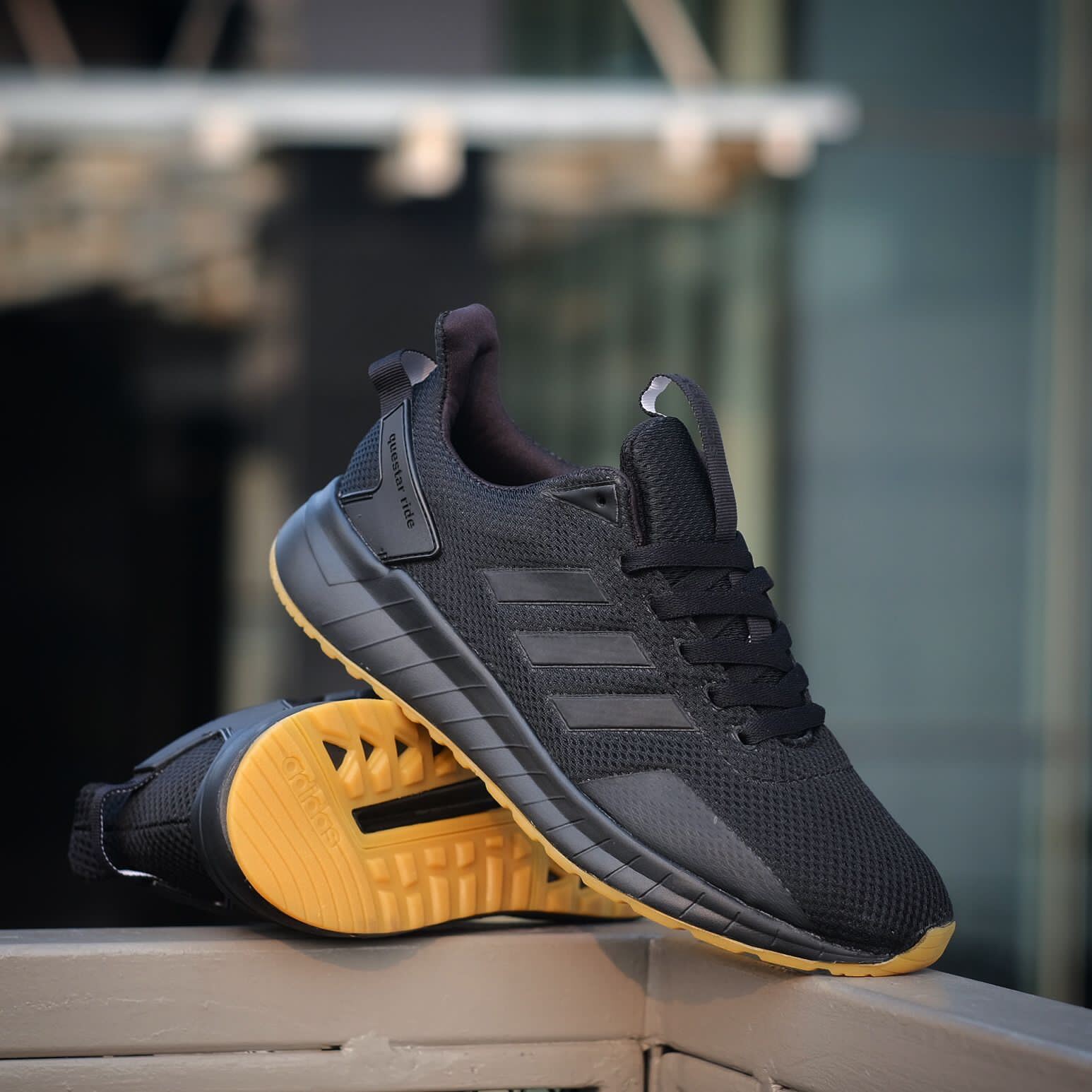 sepatu adidas questar ride black