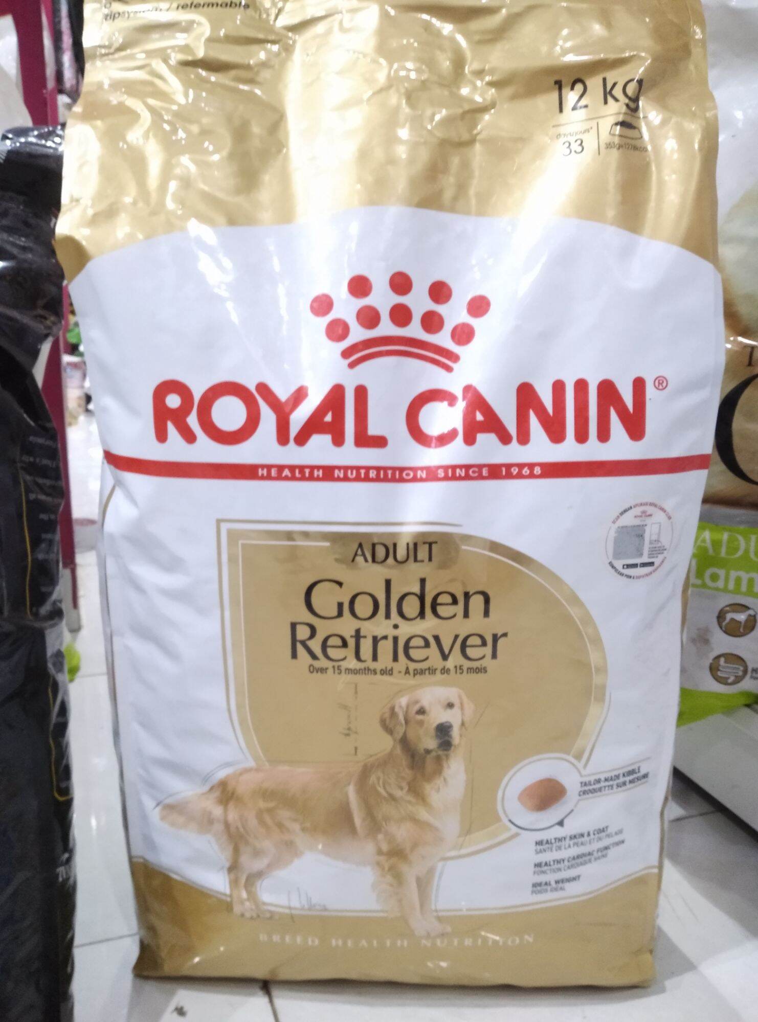 dog food terbaik untuk golden retriever