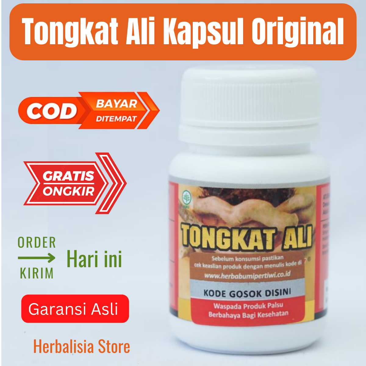 Kapsul Ali