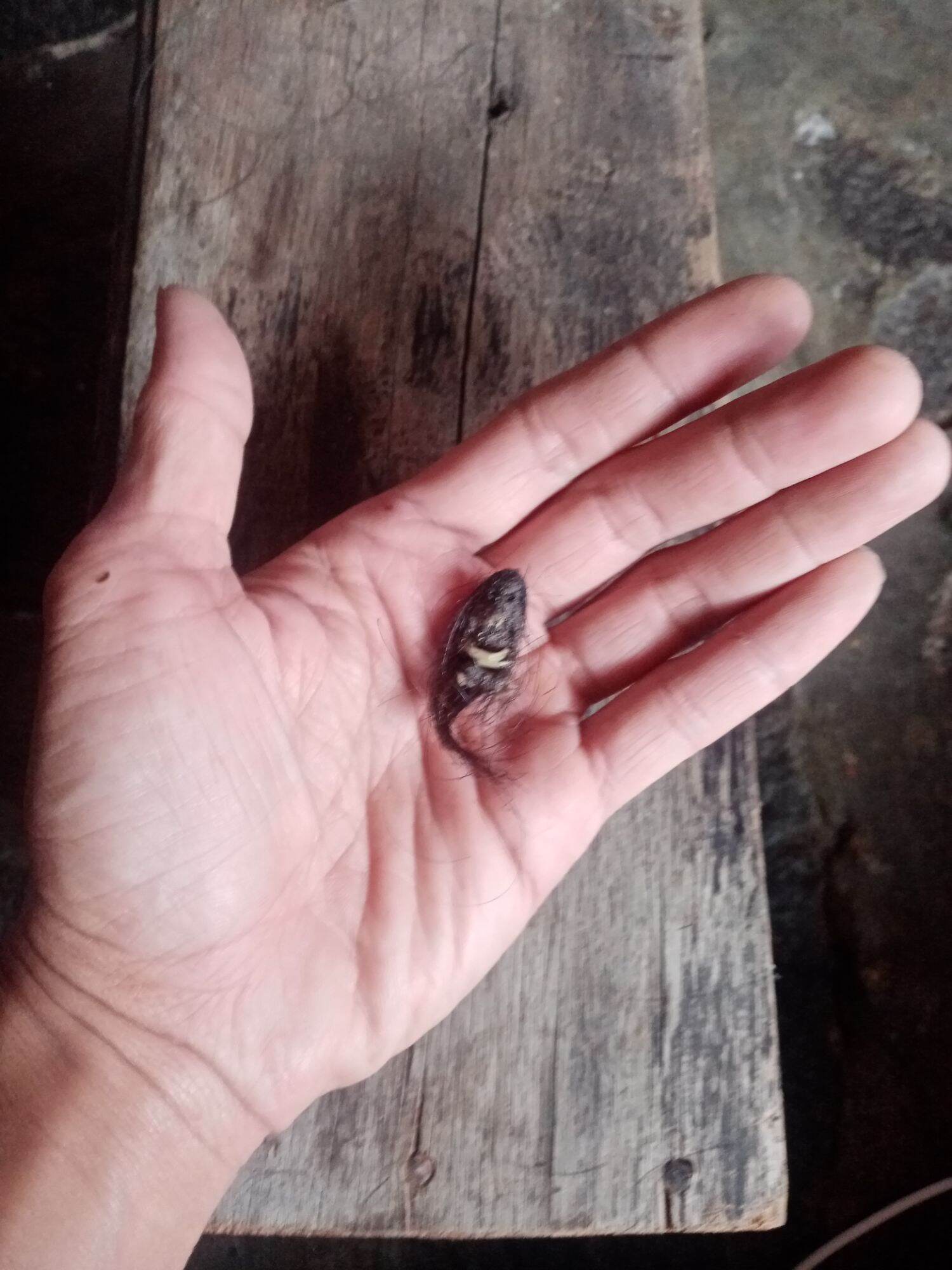 pernak pernik Barang antik BK mini | Lazada Indonesia