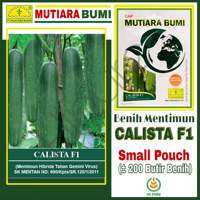 BENIH TIMUN MENTIMUN HIBRIDA CALISTA F1 ISI 200 BENIH CAP MUTIARA BUMI