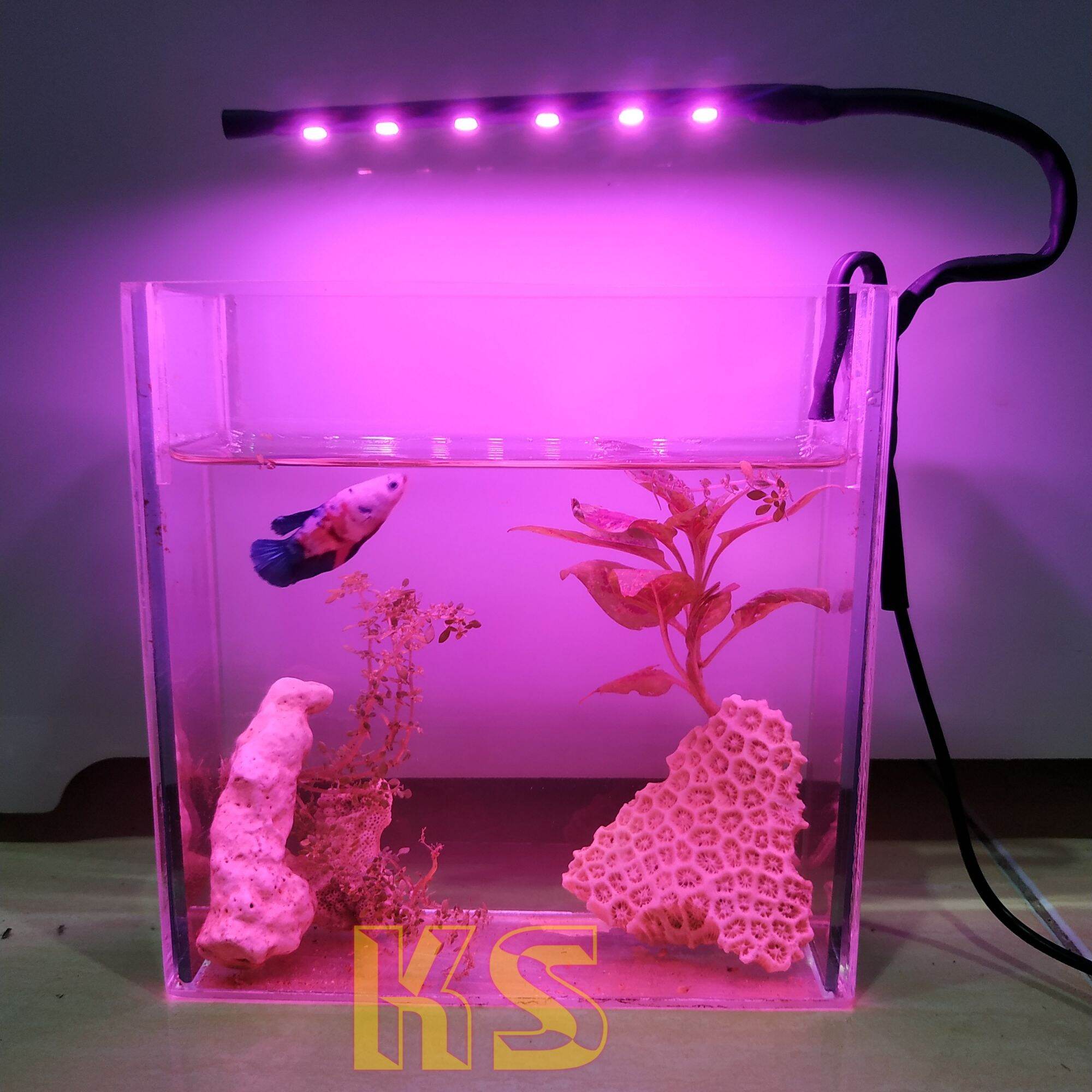 Lampu Aquarium Aquascape Led Smd Pink Lampu Ikan Hias Lampu Akuarium