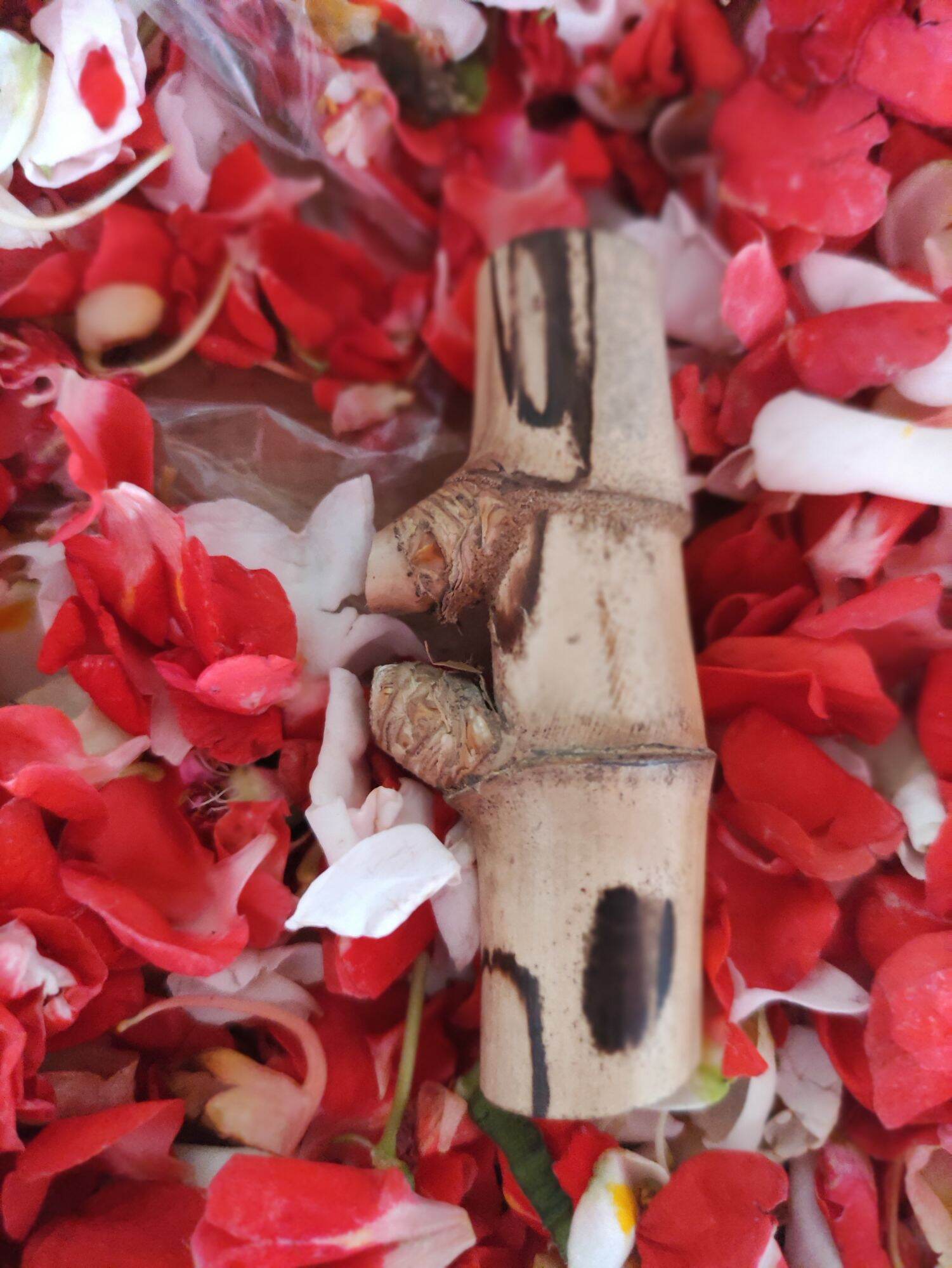 BAMBU PETUK ORIGINAL | Lazada Indonesia