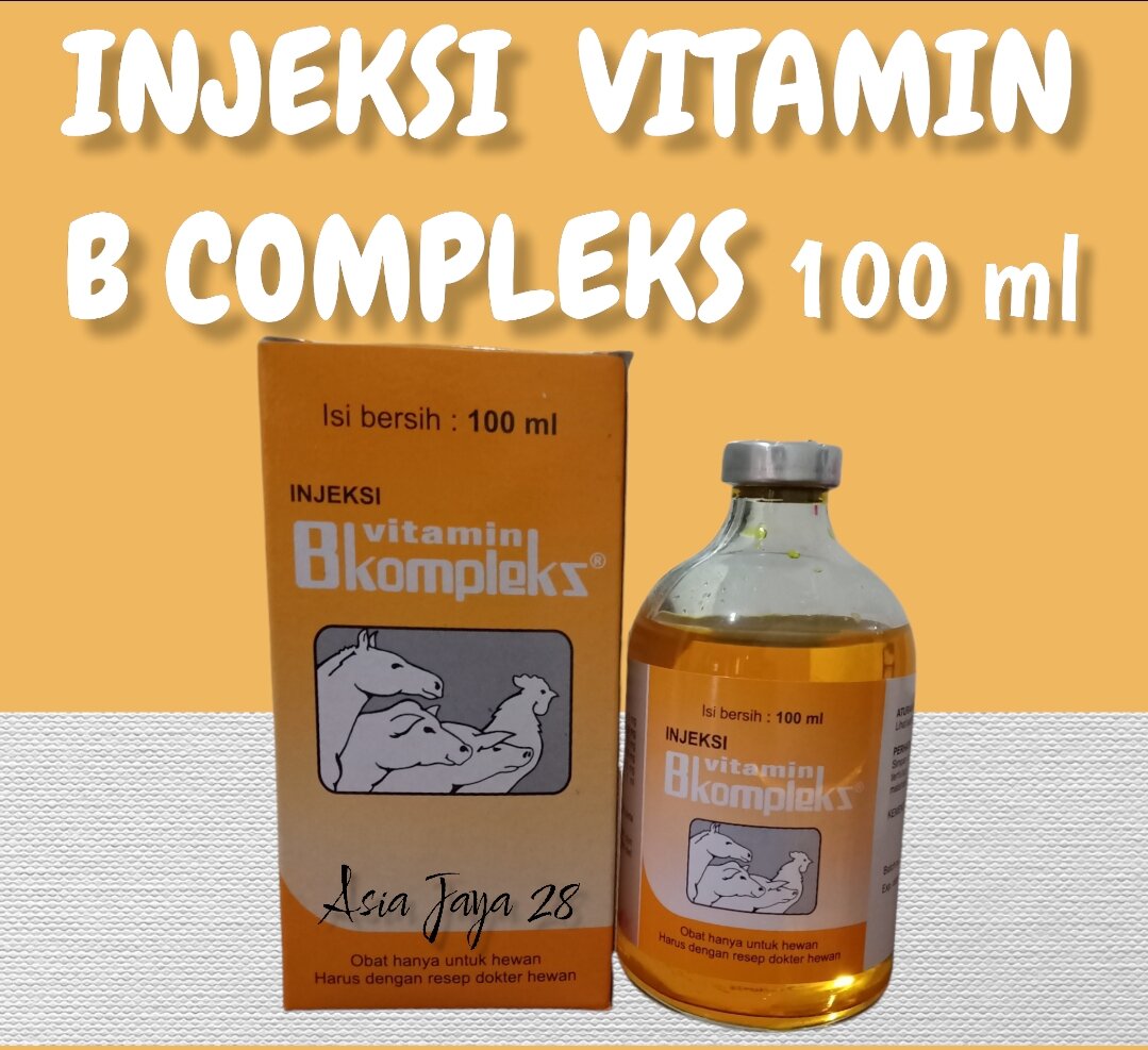 INJEKSI VITAMIN B COMPLEKS 100 ML UNTUK UNGGAS BABI SAPI KAMBING KUDA ...