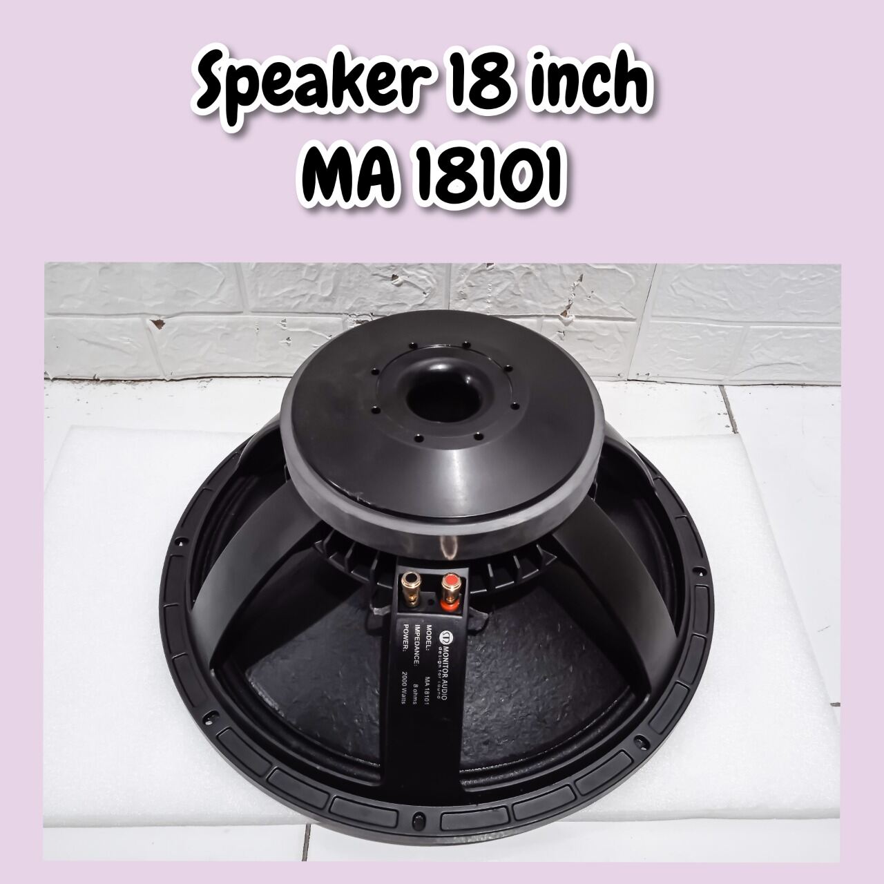 speaker monitor audio 18