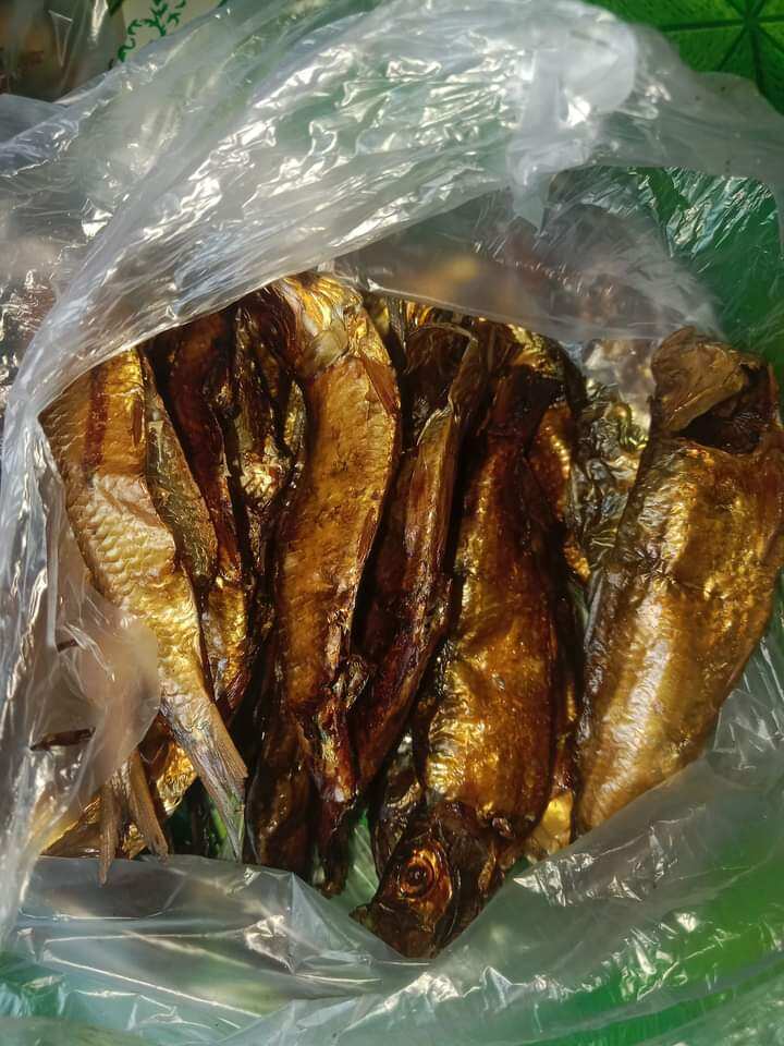 Ikan busuko tinapo atau ikan tembang khas daerah kendari yang di ...