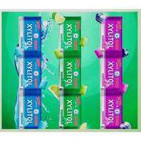 Lotte Xylitol blister permen karet 87 gram 1 Pack isi 10 pcs 1 pcs isi 6 butir permen