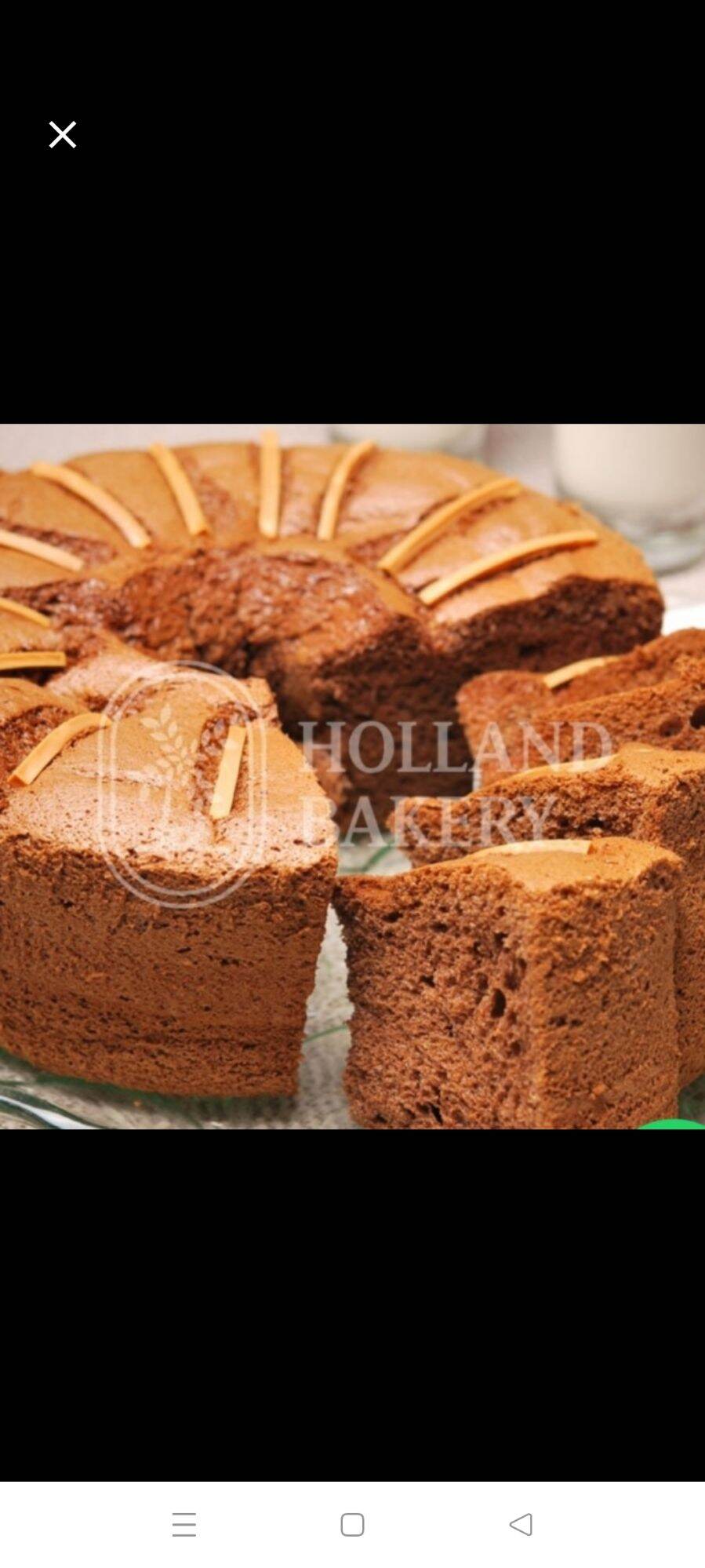 Jual Holland Bakery Cake Terbaru Lazada Co Id