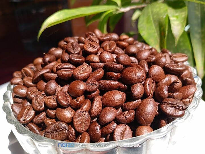 Jual Biji Kopi Lanang Rosbin Terbaru Online dengan Harga Terbaik | Lazada Indonesia