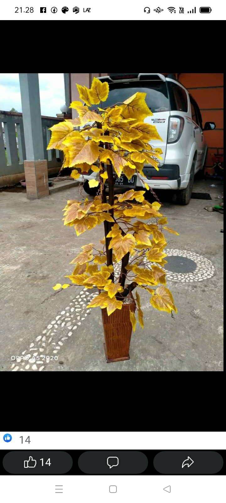 Pohon Daun Anggur Tinggi 100cm Lazada Indonesia