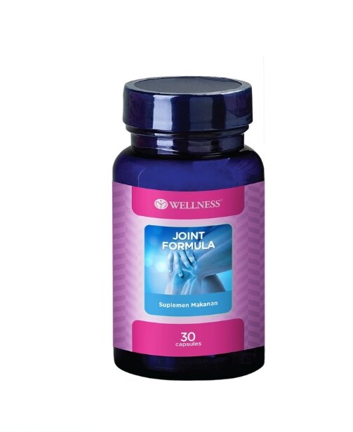 WELLNESS JOINT FORMULA GLUCOSAMINE SULFATE CHONDROITIN VITAMIN PELUMAS