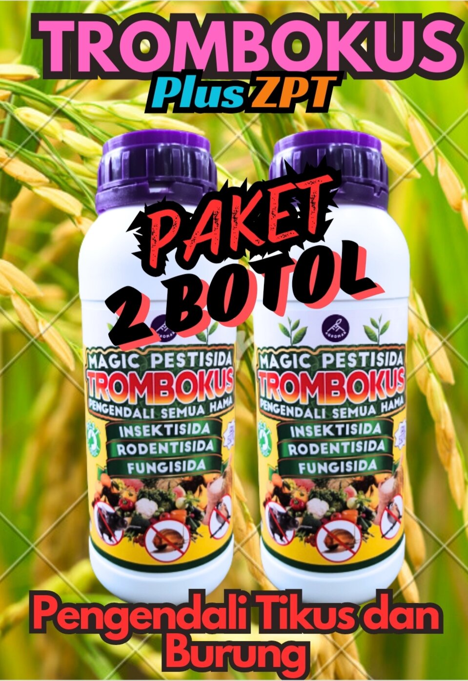 TROMBOKUS (Paket 2 Botol) Magic Pestisida Plus ZPT Sebagai Insektisida ...