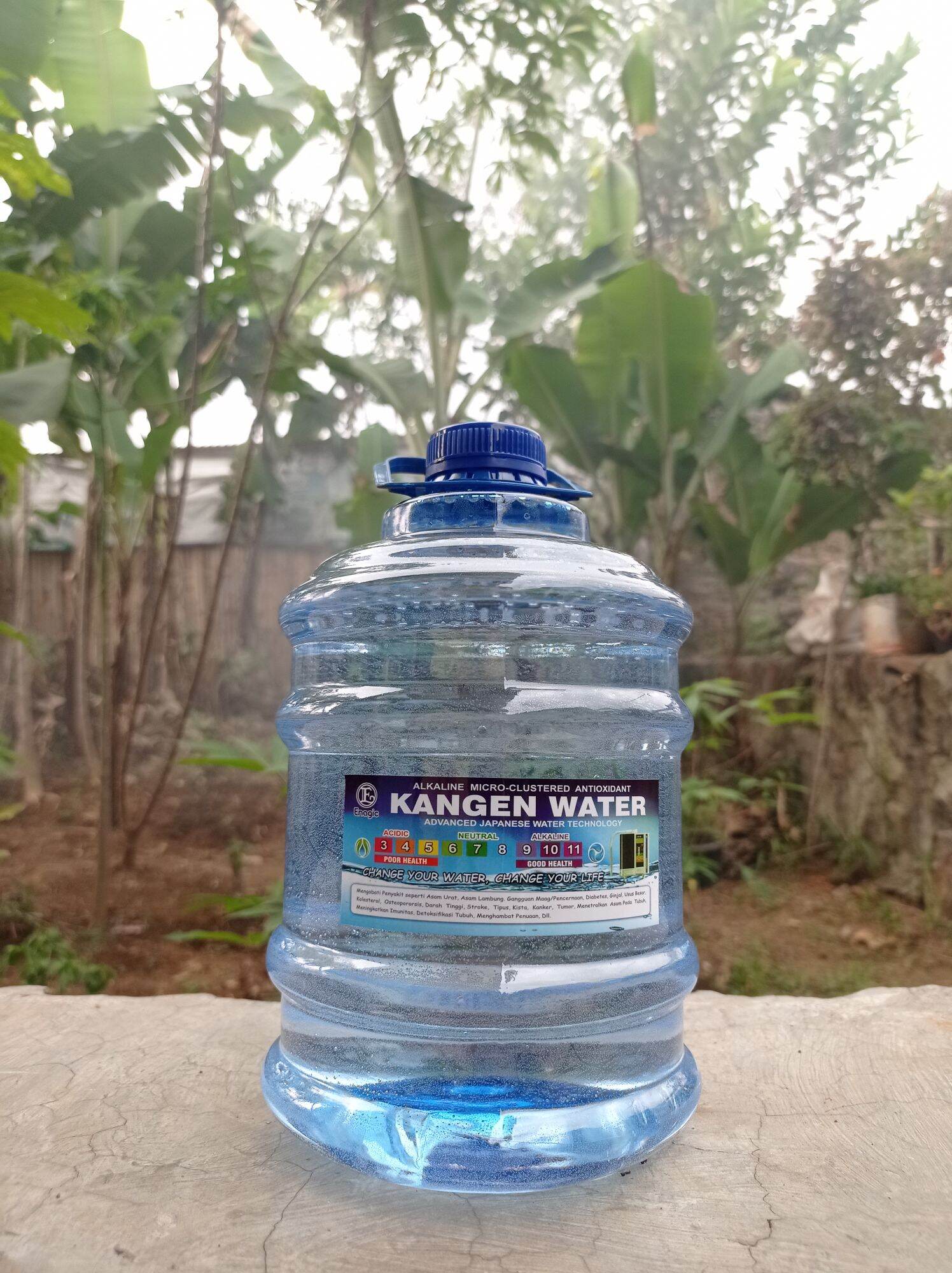 Kangen water sales lazada