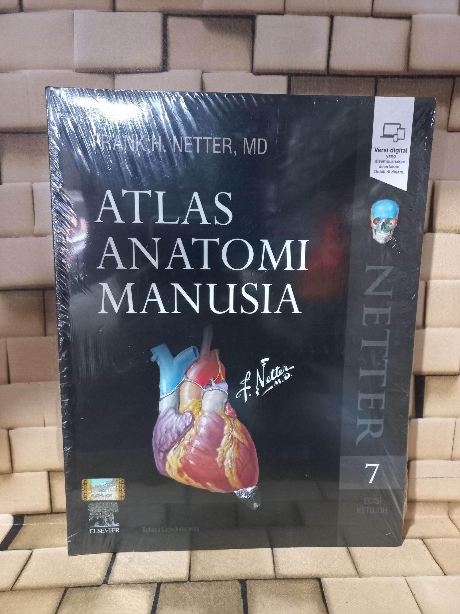 Atlas Anatomi Manusia Edisi 7 Netter [original] | Lazada Indonesia