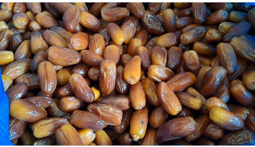 Kurma Tunisia Madu Premium 1kg Fresh Enak