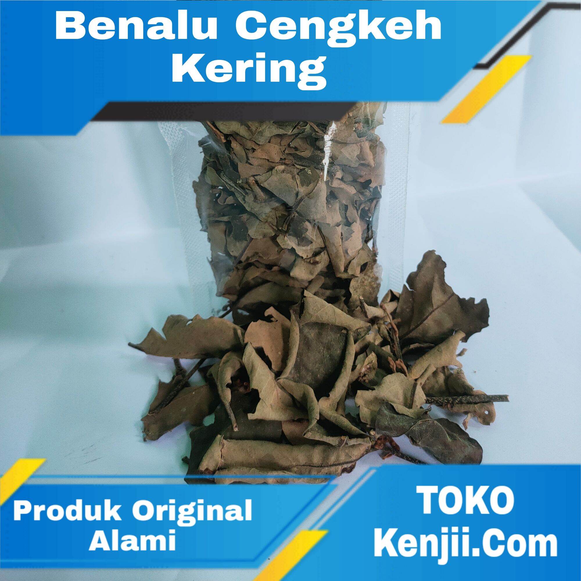 Daun Benalu Cengkeh Kering Gram Lazada Indonesia