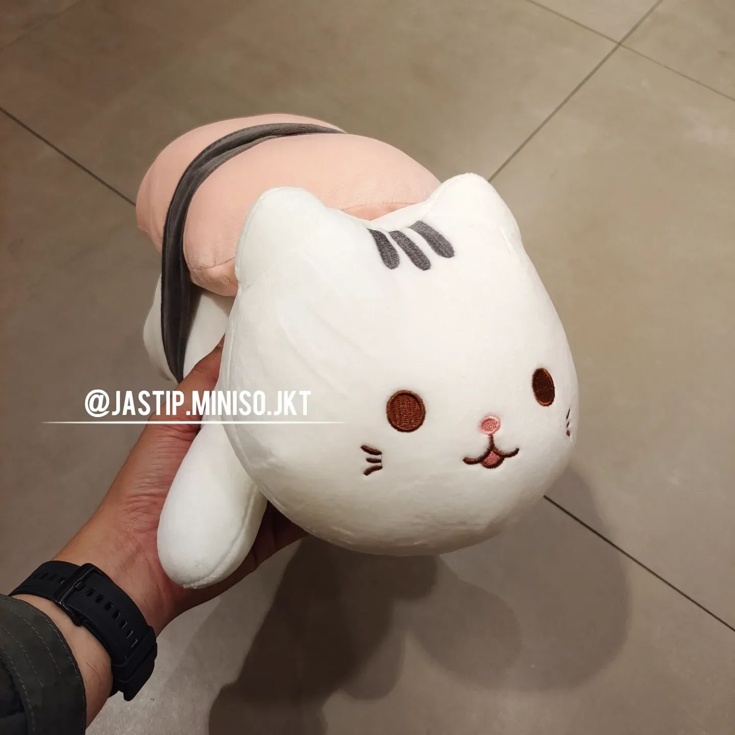MINISO 🆕 Boneka Sushi Cat SALMON Boneka Sushi Ukuran