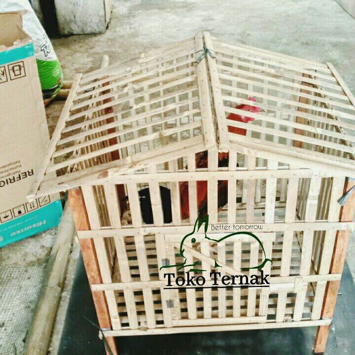 Kandang Ayam Bambu Bongkar Pasang Lazada Indonesia 3988