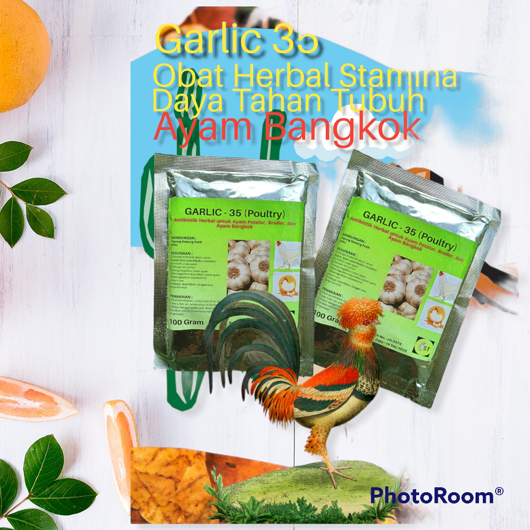 Obat Herbal Ayam Aduan utk Stamina, Daya Tahan, kesehatan ekstrak