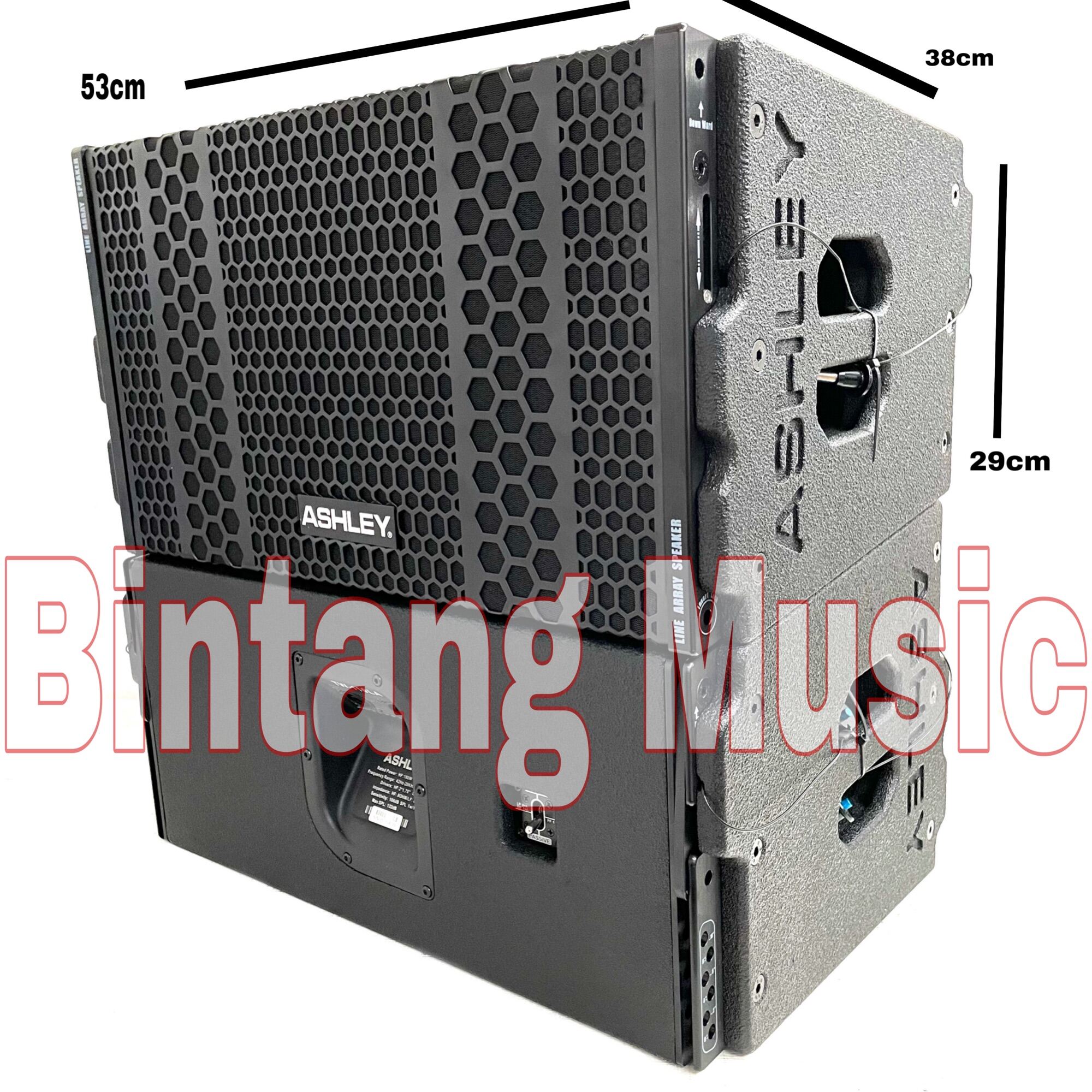 line array ashley 10 inch