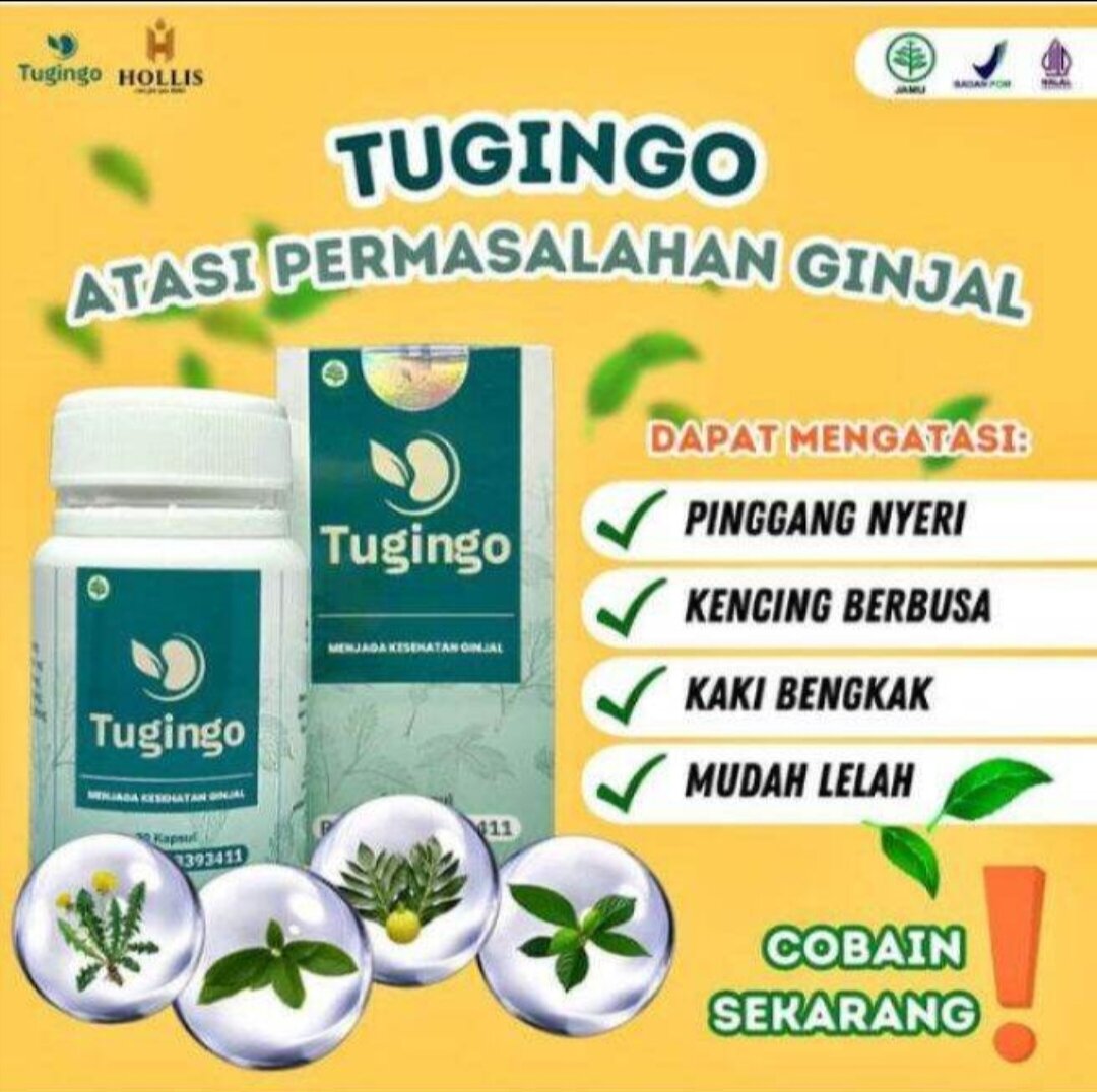 TUGINGO Asli Herbal Terbaik - Mengatasi Batu Ginjal - Penyakit Ginjal ...