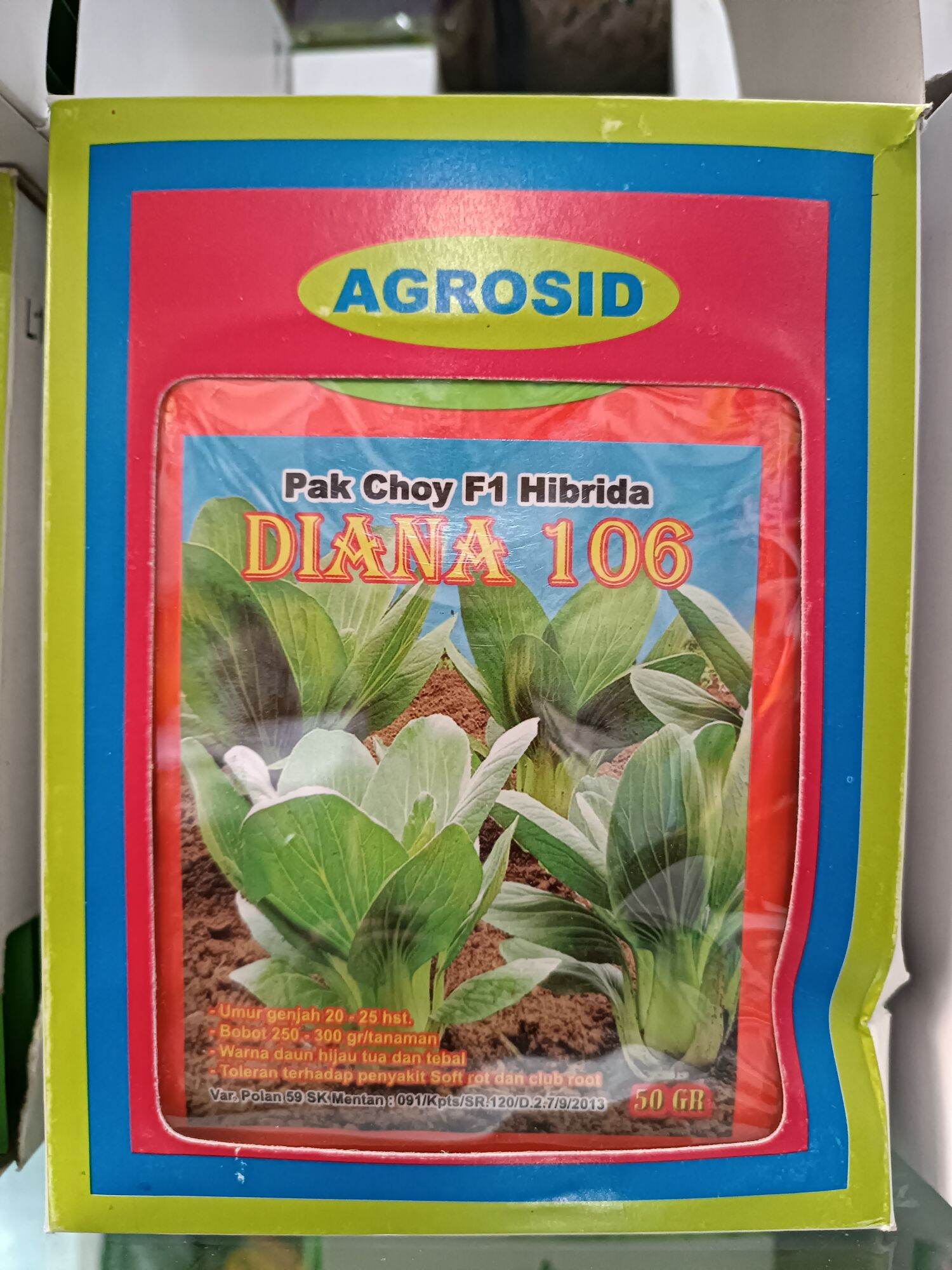 Veb-kamerada porno onanizm