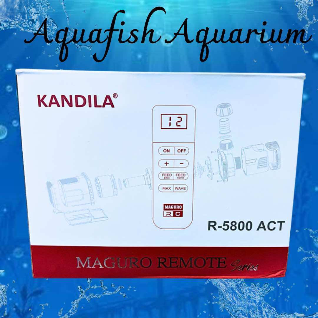 KANDILA PRO MAGURO REMOTE R 5800 ACT POMPA KOLAM AQUARIUM HIDROPONIK