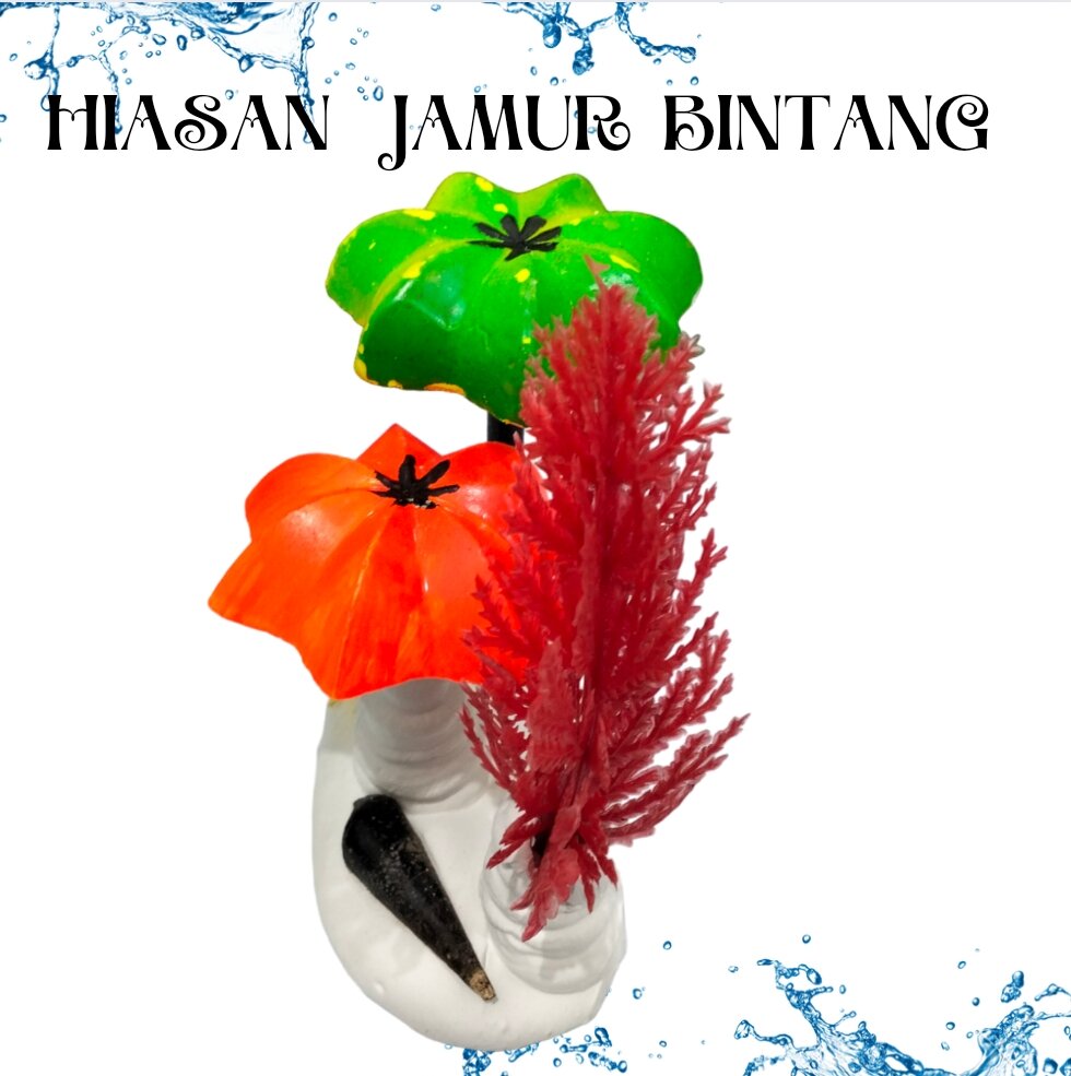 TANAMAN JAMUR BINTANG HIASAN DEKORASI AQUARIUM AQUASCAPE