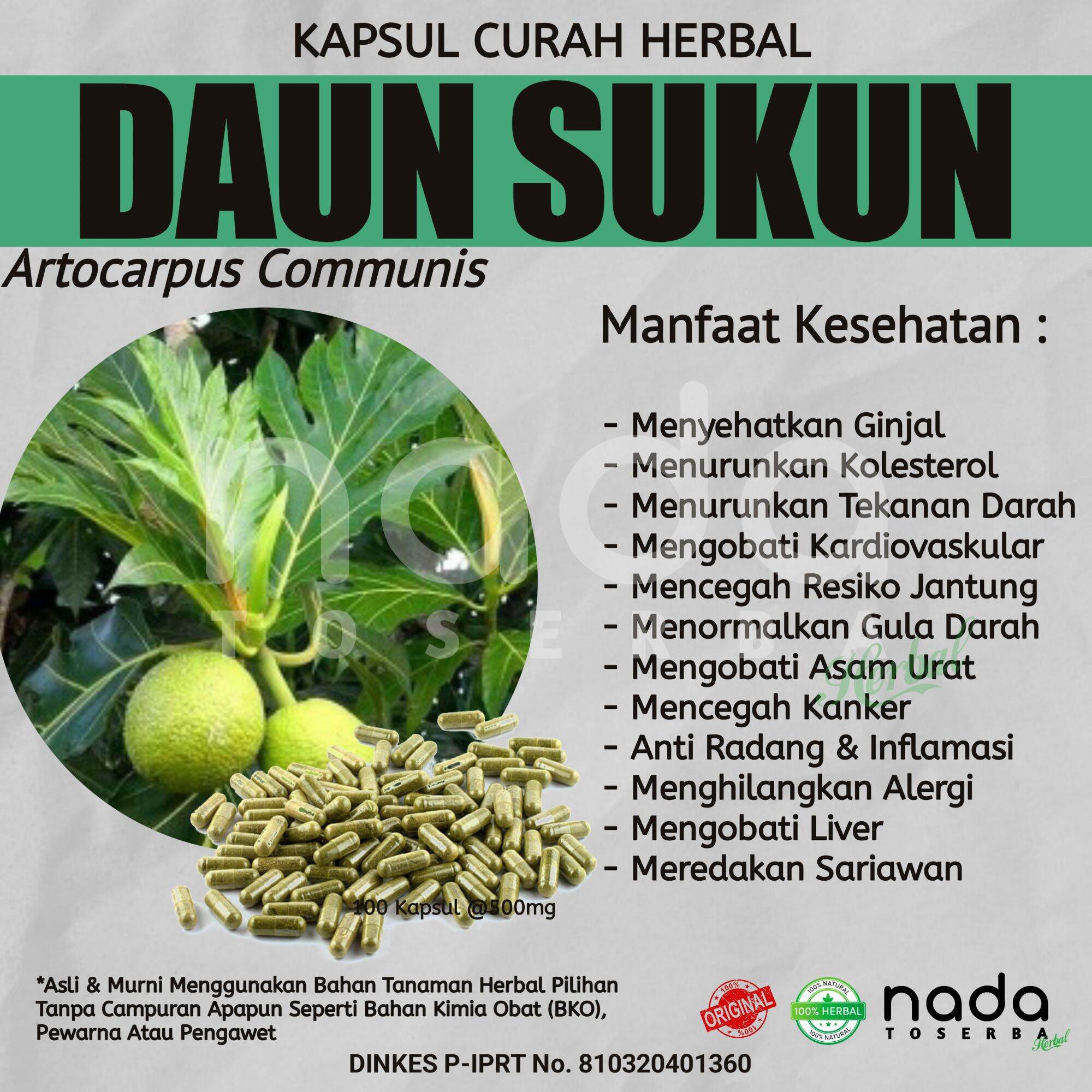 Kapsul DAUN SUKUN 100 Kapsul Herbal Curah | Herbal Ginjal Dan ...