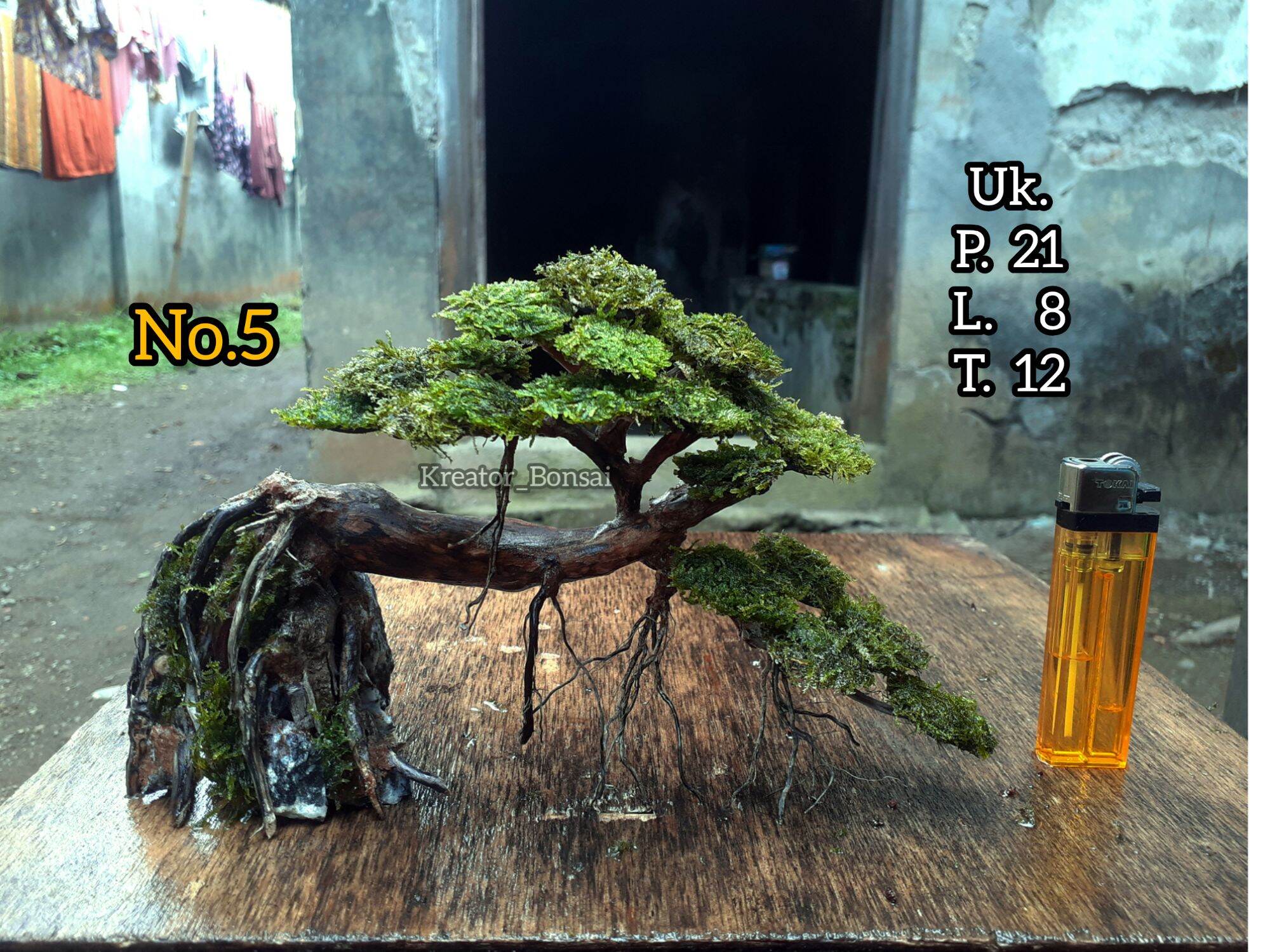 bonsai aquascape Lazada Indonesia