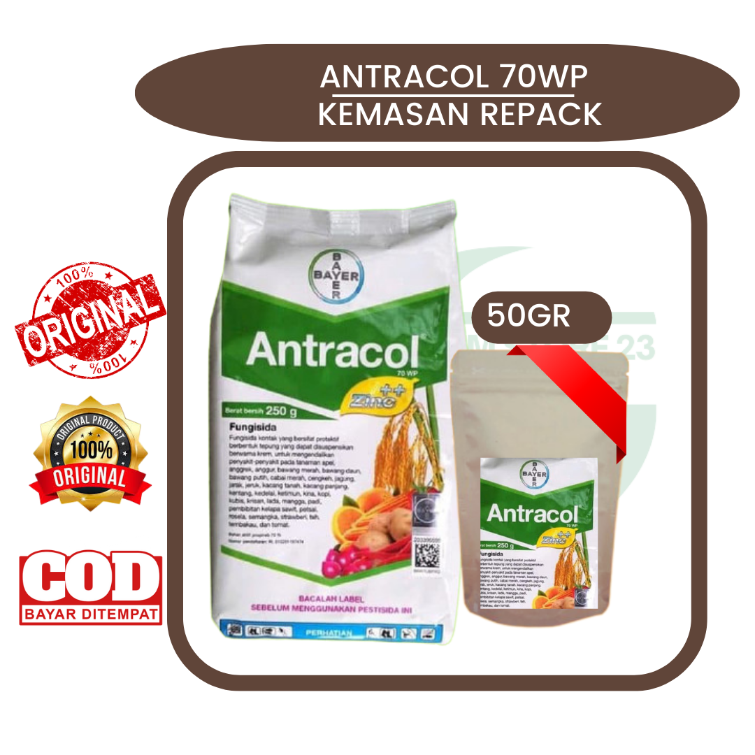 Fungisida Antracol Wp Gram Kemasan Repack Original Lazada Indonesia