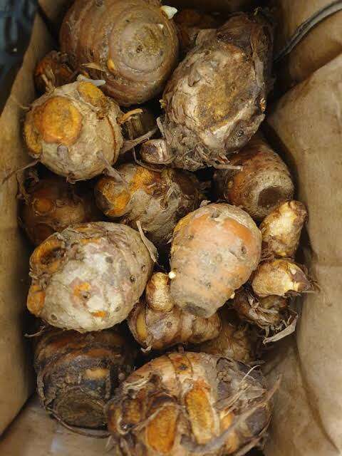 TEMULAWAK SEGAR 1KG ORIGINAL FRESH