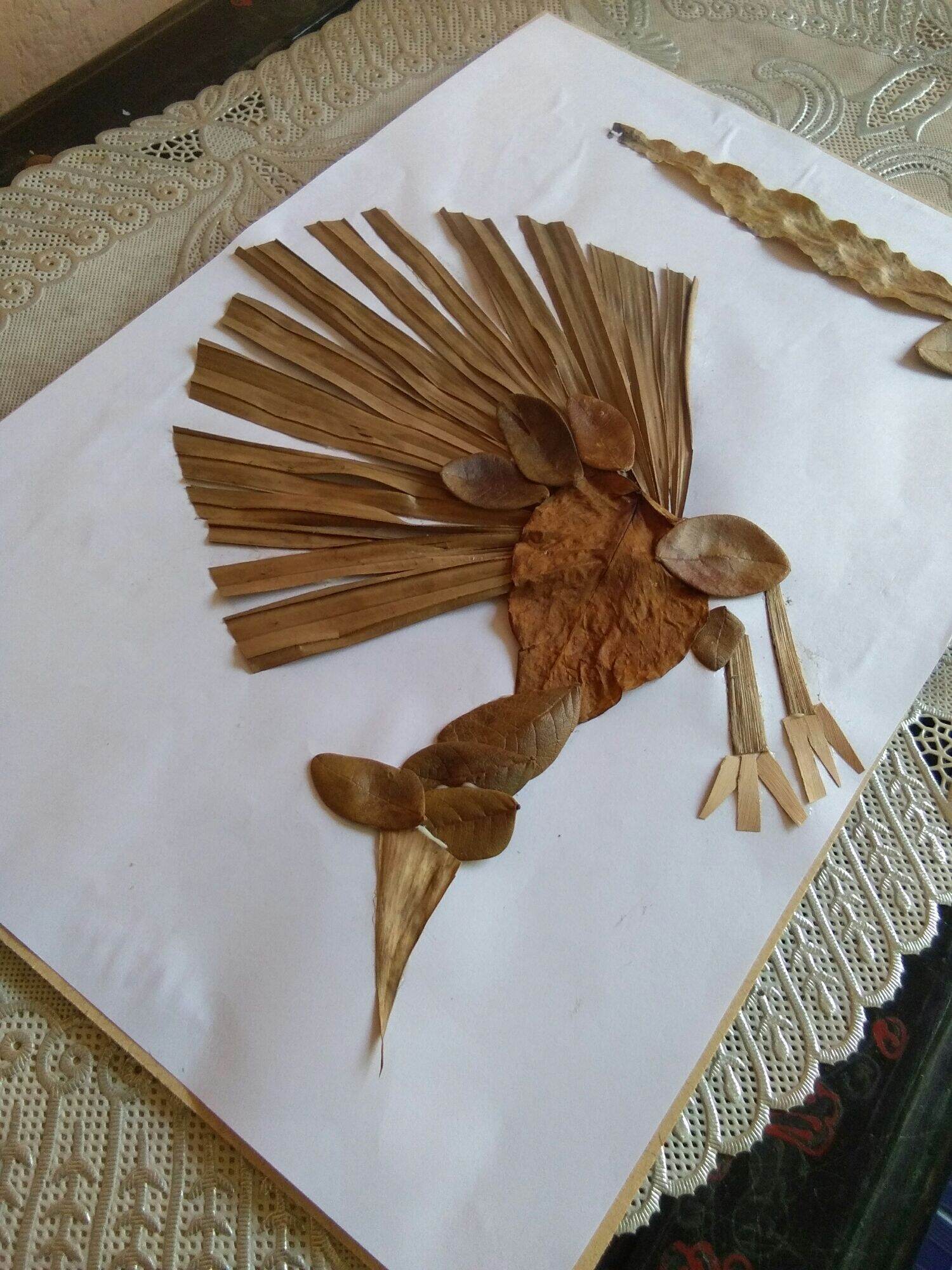 kolase daun kering model burung merak | Lazada Indonesia