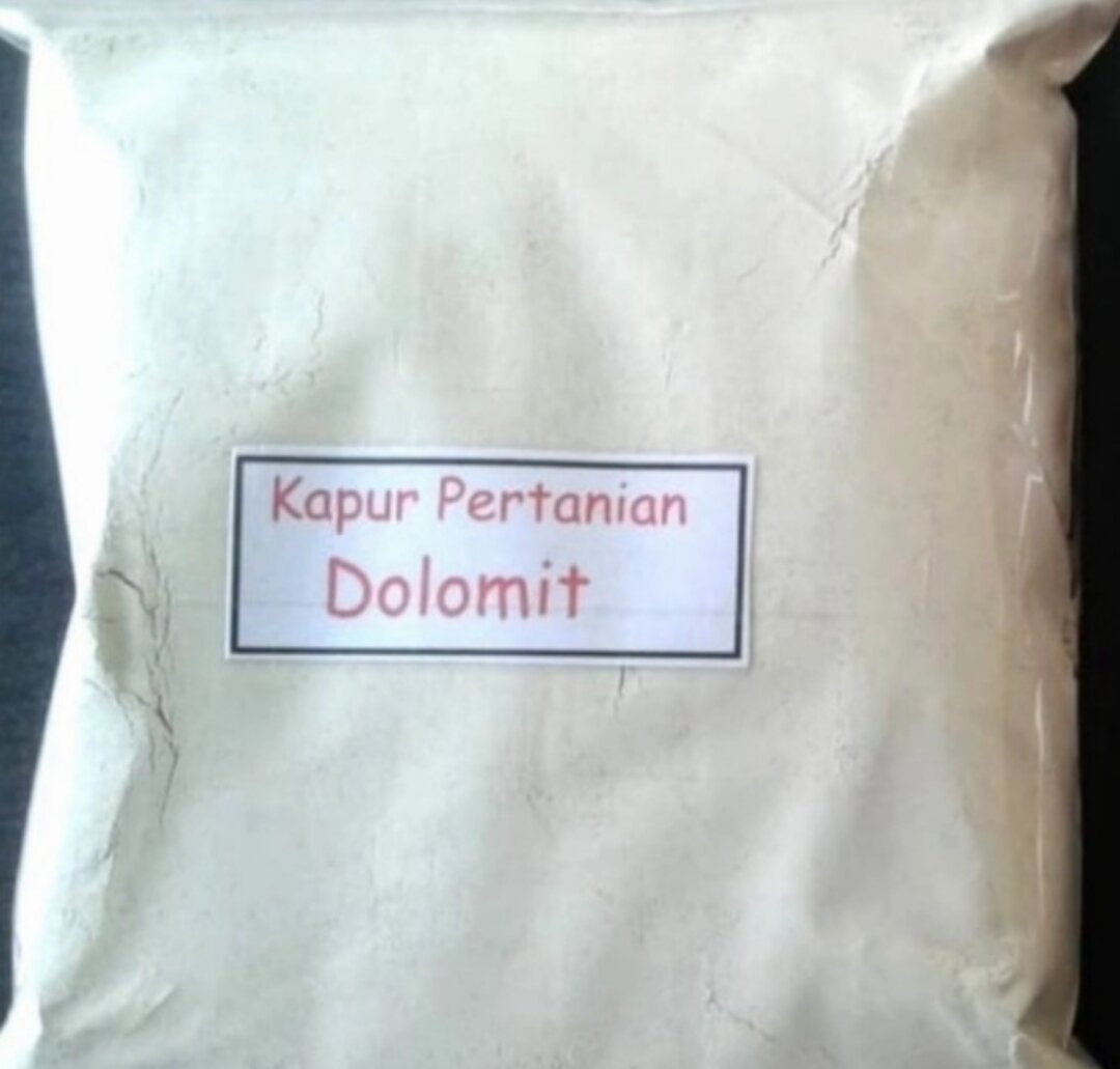 Kapur Pertanian Dolomit Super Kemasan 1 Kg Lazada Indonesia