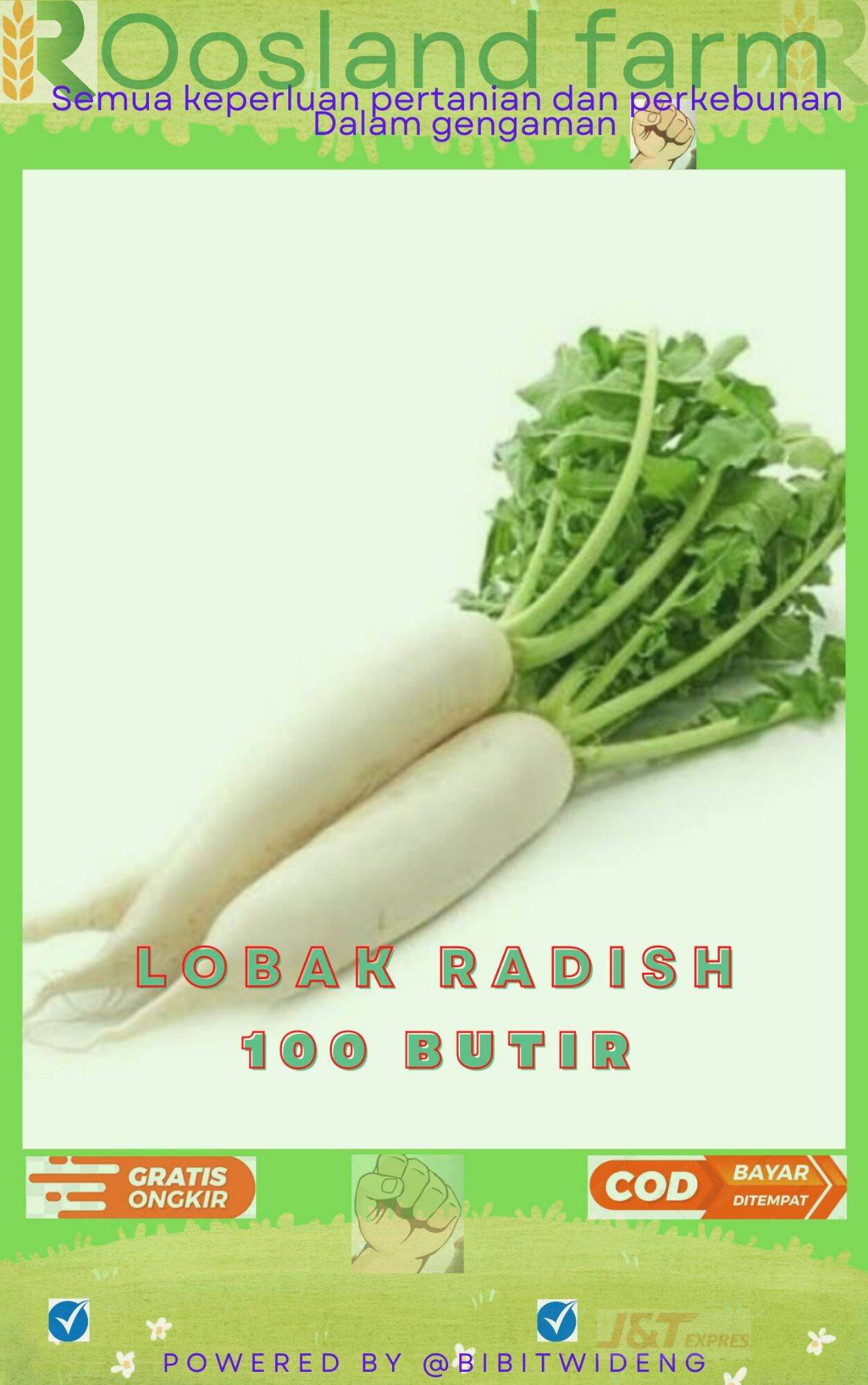 Benih Lobak Radish 100 Butir Lazada Indonesia