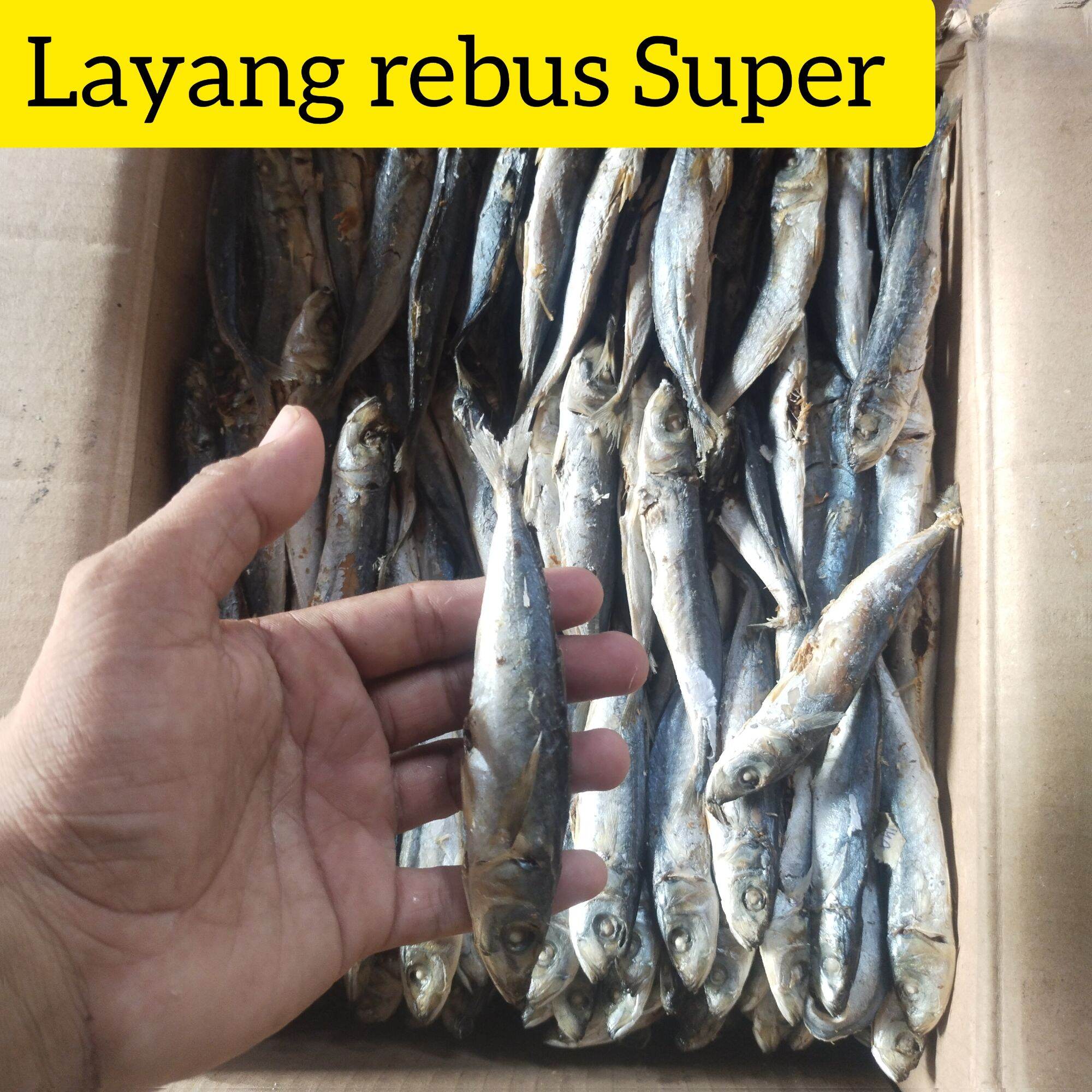 Ikan Layang Rebus Super Gram Lazada Indonesia