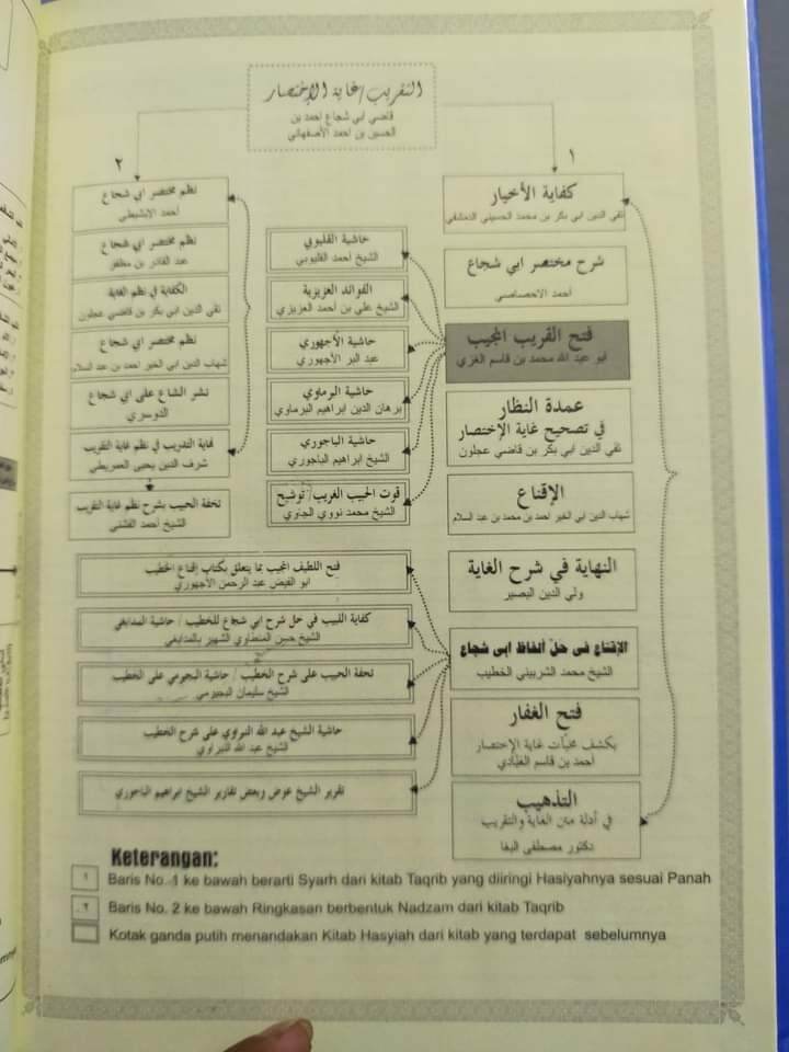 Yalangoch yosh mushuklarning fotosuratlari