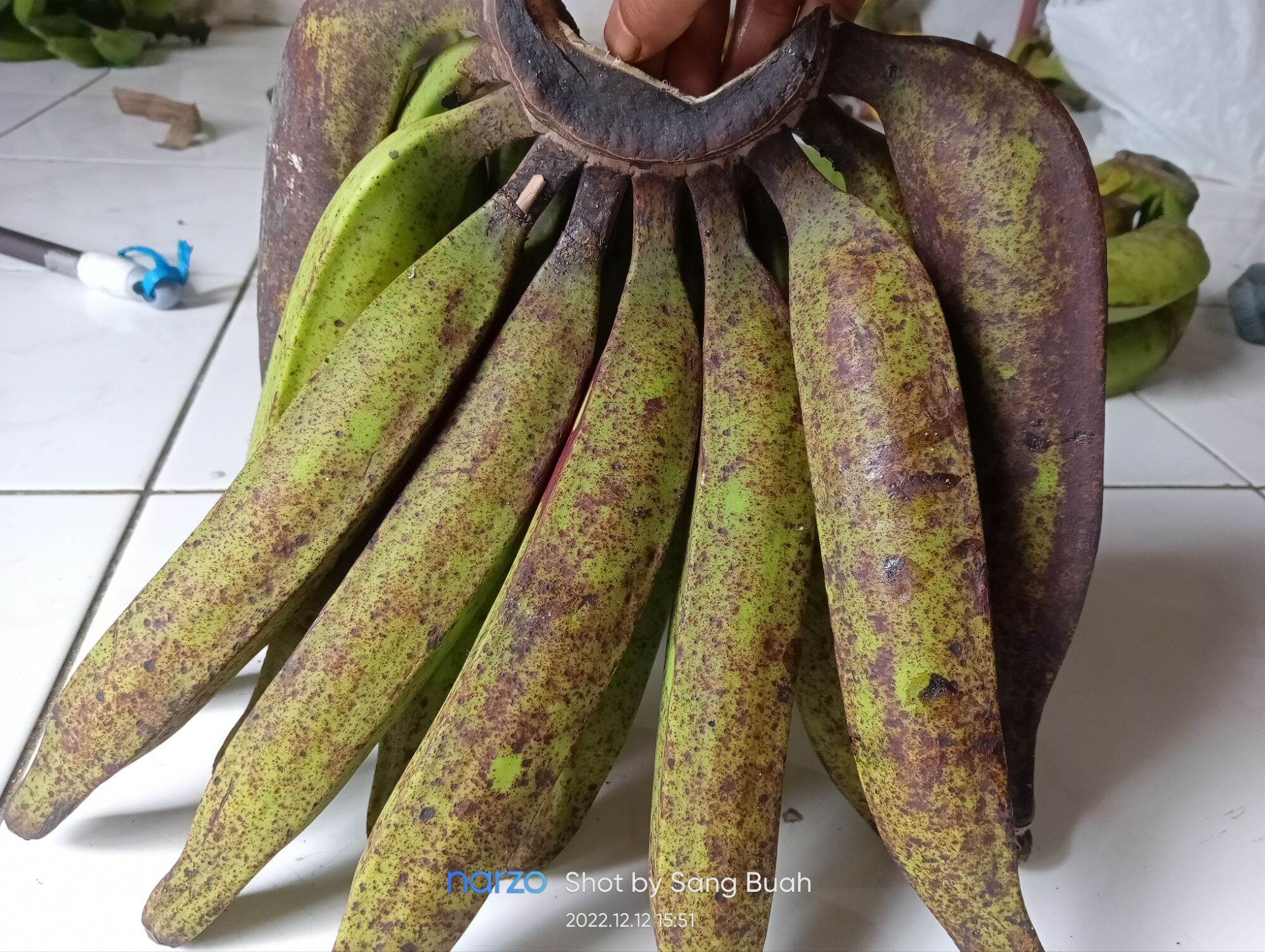 Pisang Bawen Per Sisir 1kg Lazada Indonesia