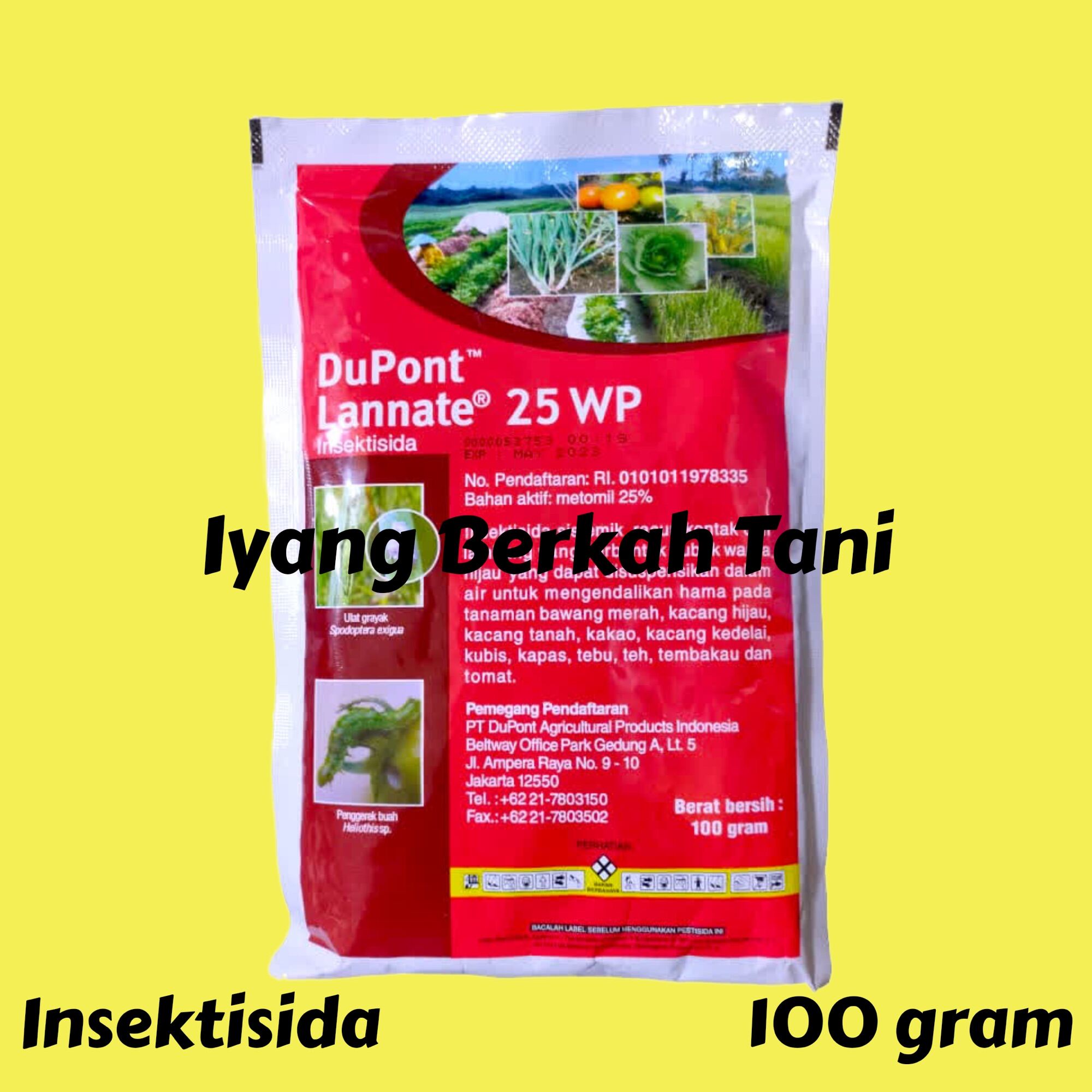 Porno aktrisa Foxy Di onlayn video