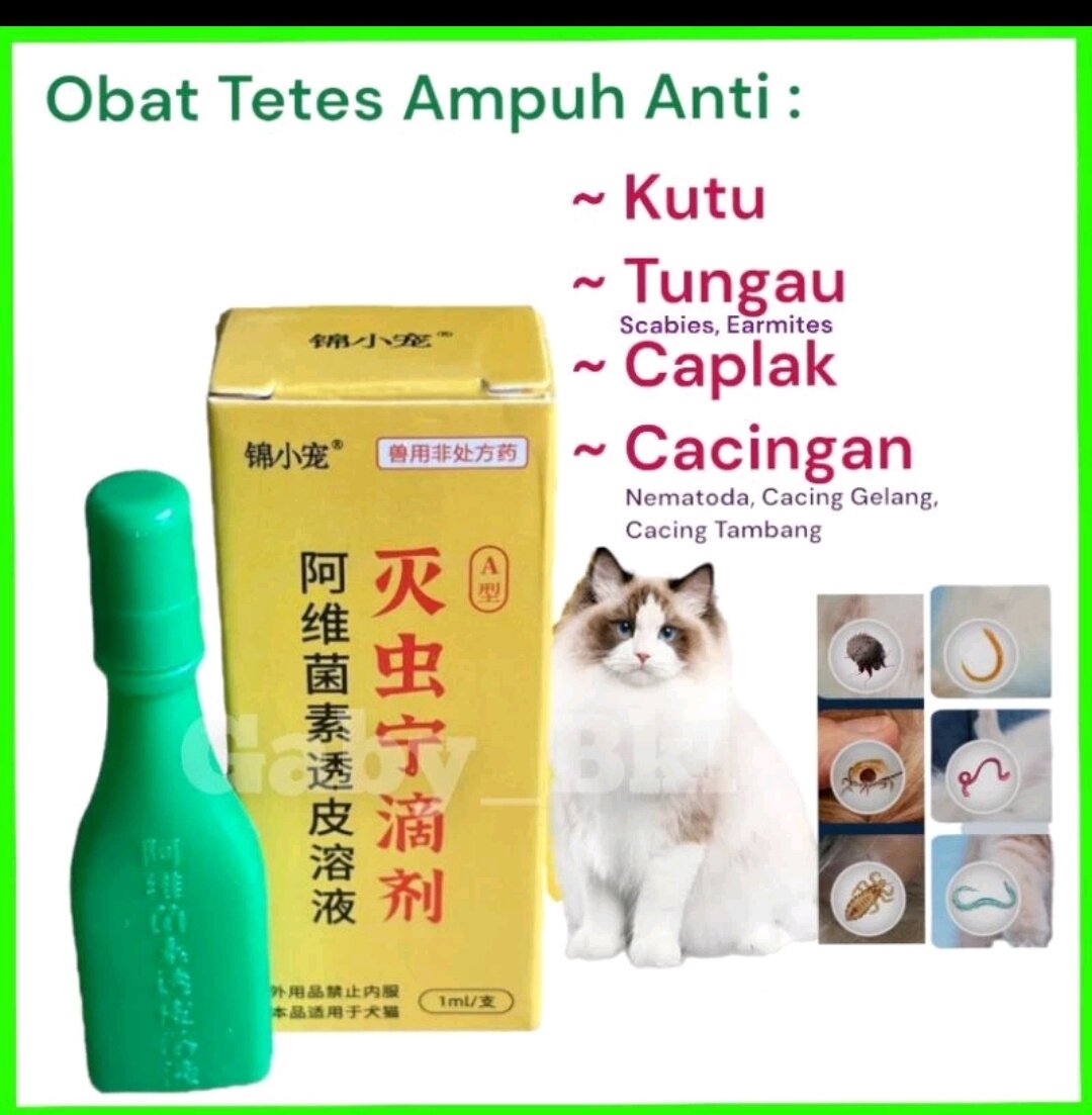 Obat KUTU SIMPLE ! TERBARU! TERAMPUH ! TETES ANJING KUCING 2.5ml || HATI HATI YANG PALSU