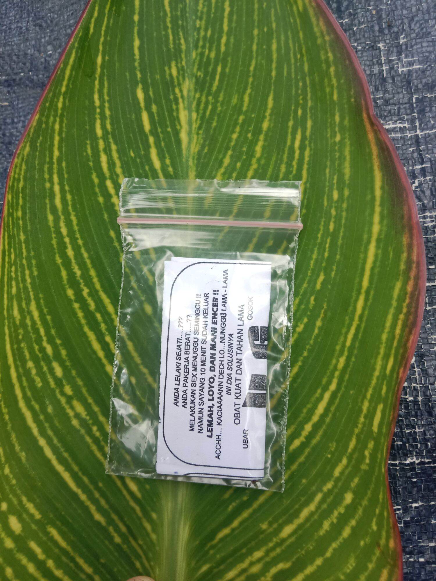 Upil Besar UPIL G4JAH ASLI HERBAL TIONGKOK | Lazada Indonesia